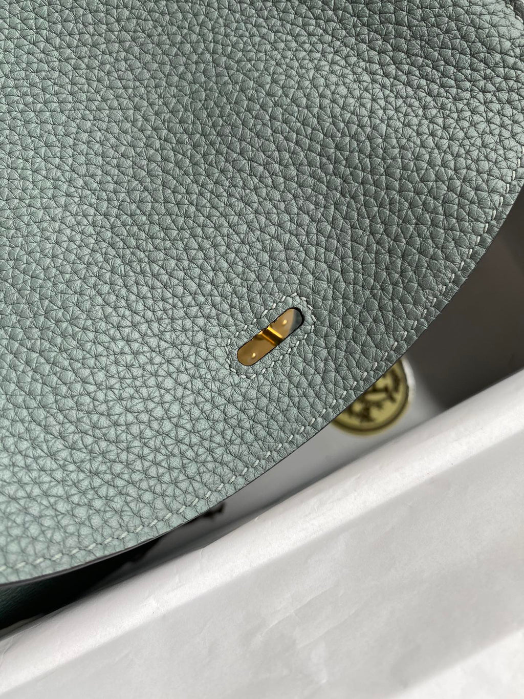 Lindy-taurillon clemence