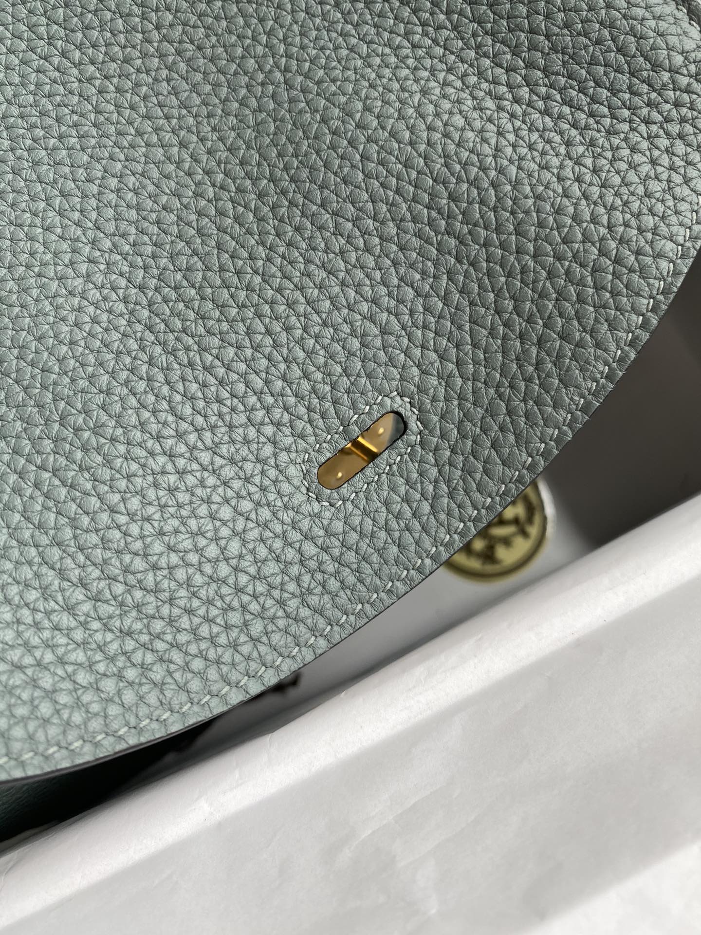 Lindy-taurillon clemence