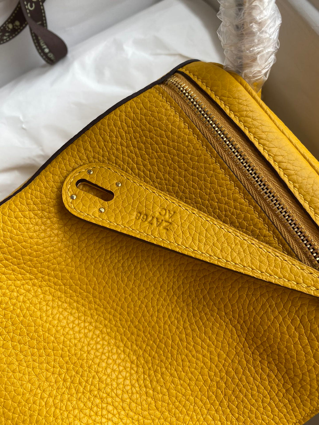 Lindy-taurillon clemence