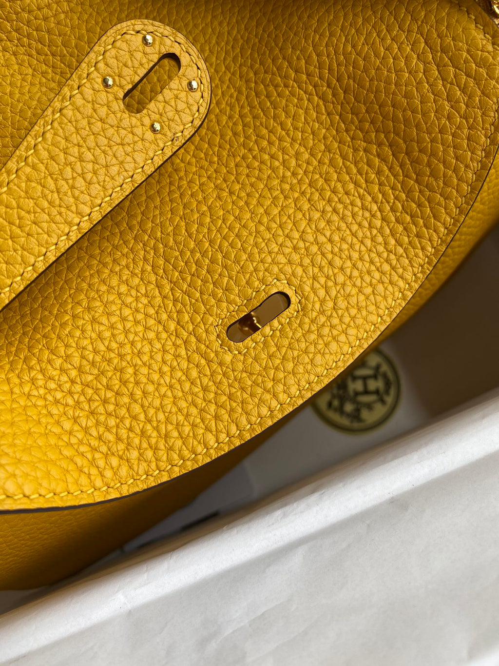 Lindy-taurillon clemence