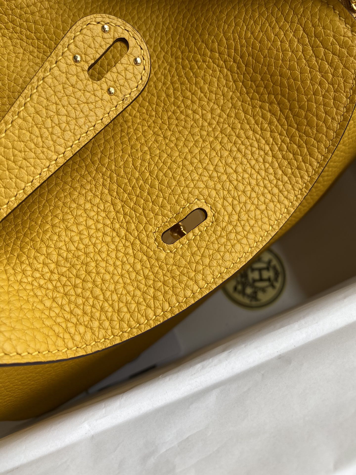 Lindy-taurillon clemence