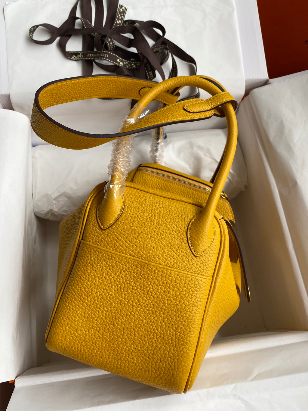 Lindy-taurillon clemence