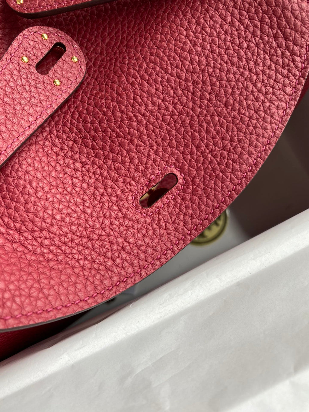 Lindy-taurillon clemence