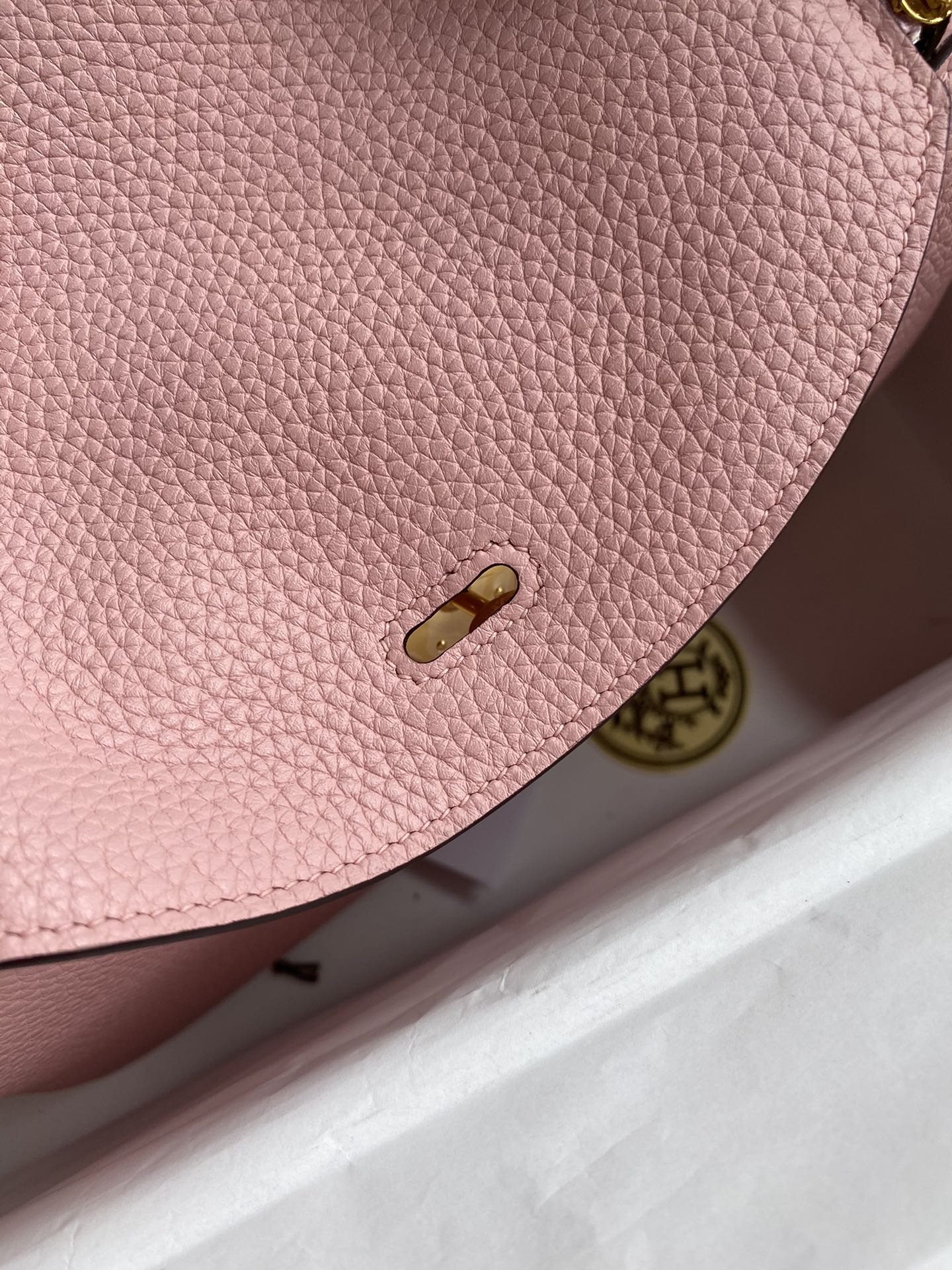 Lindy-taurillon clemence