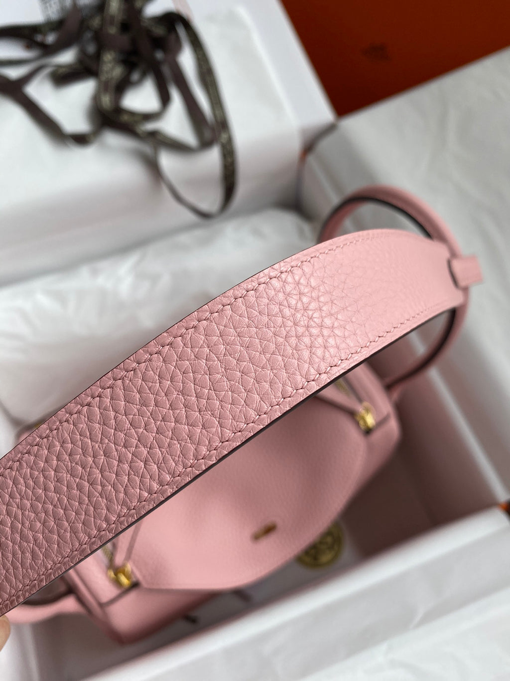 Lindy-taurillon clemence