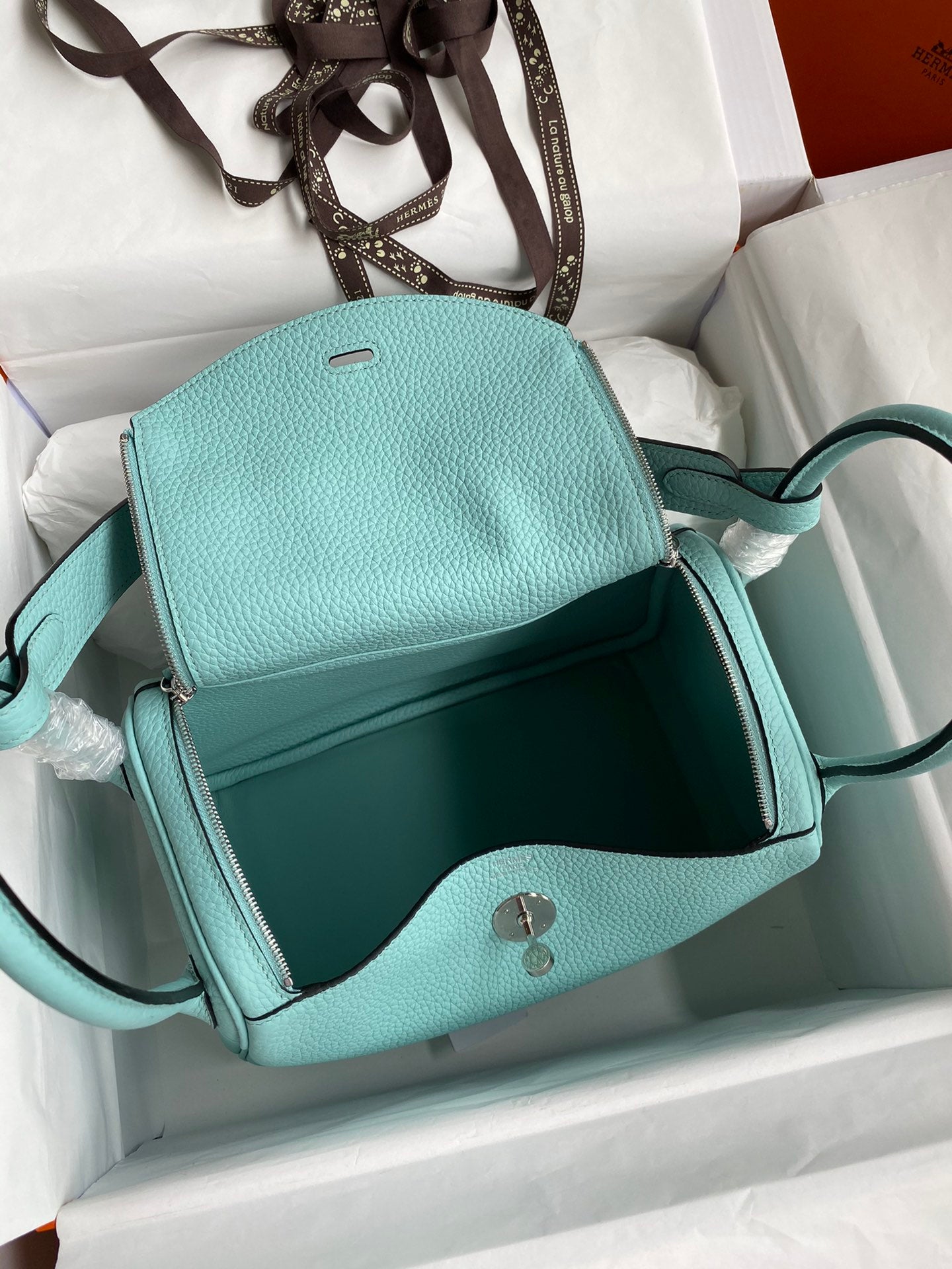 Lindy-taurillon clemence