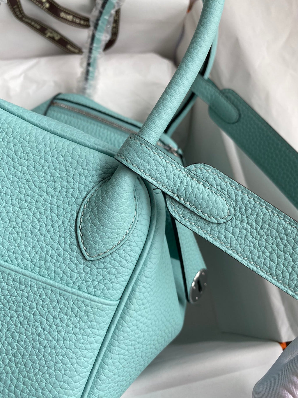 Lindy-taurillon clemence