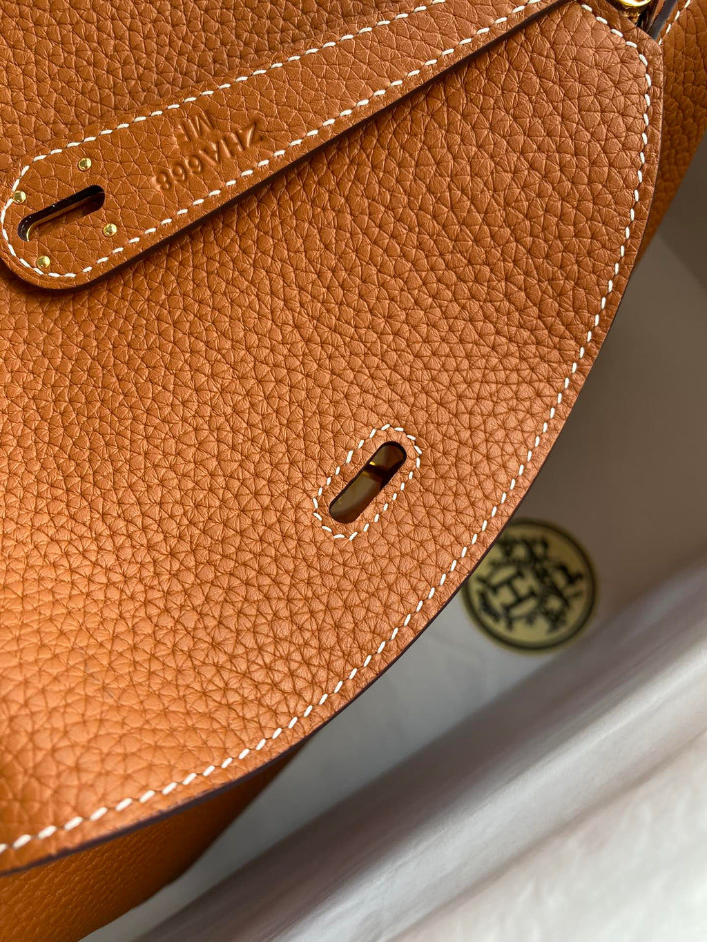 Lindy-taurillon clemence