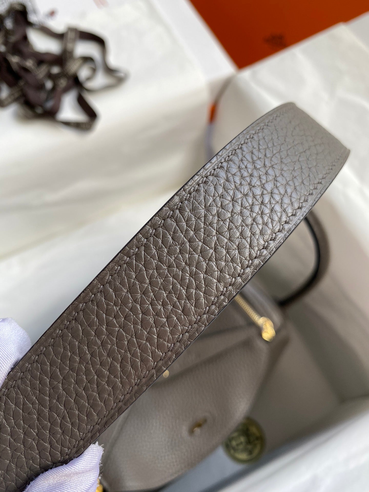 Lindy-taurillon clemence