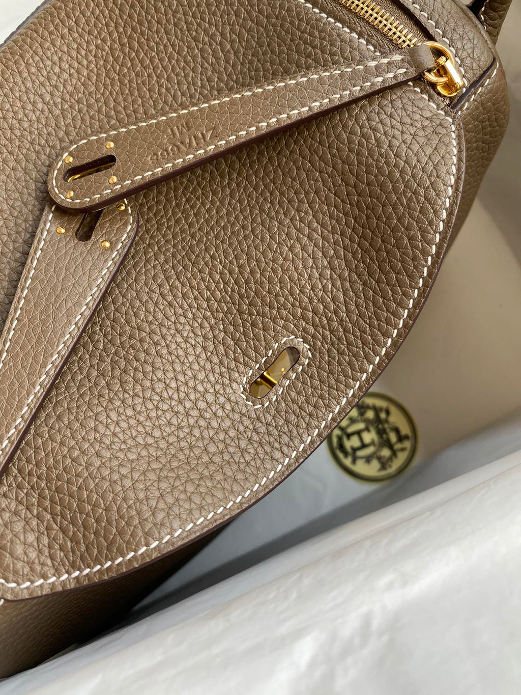 Lindy-taurillon clemence