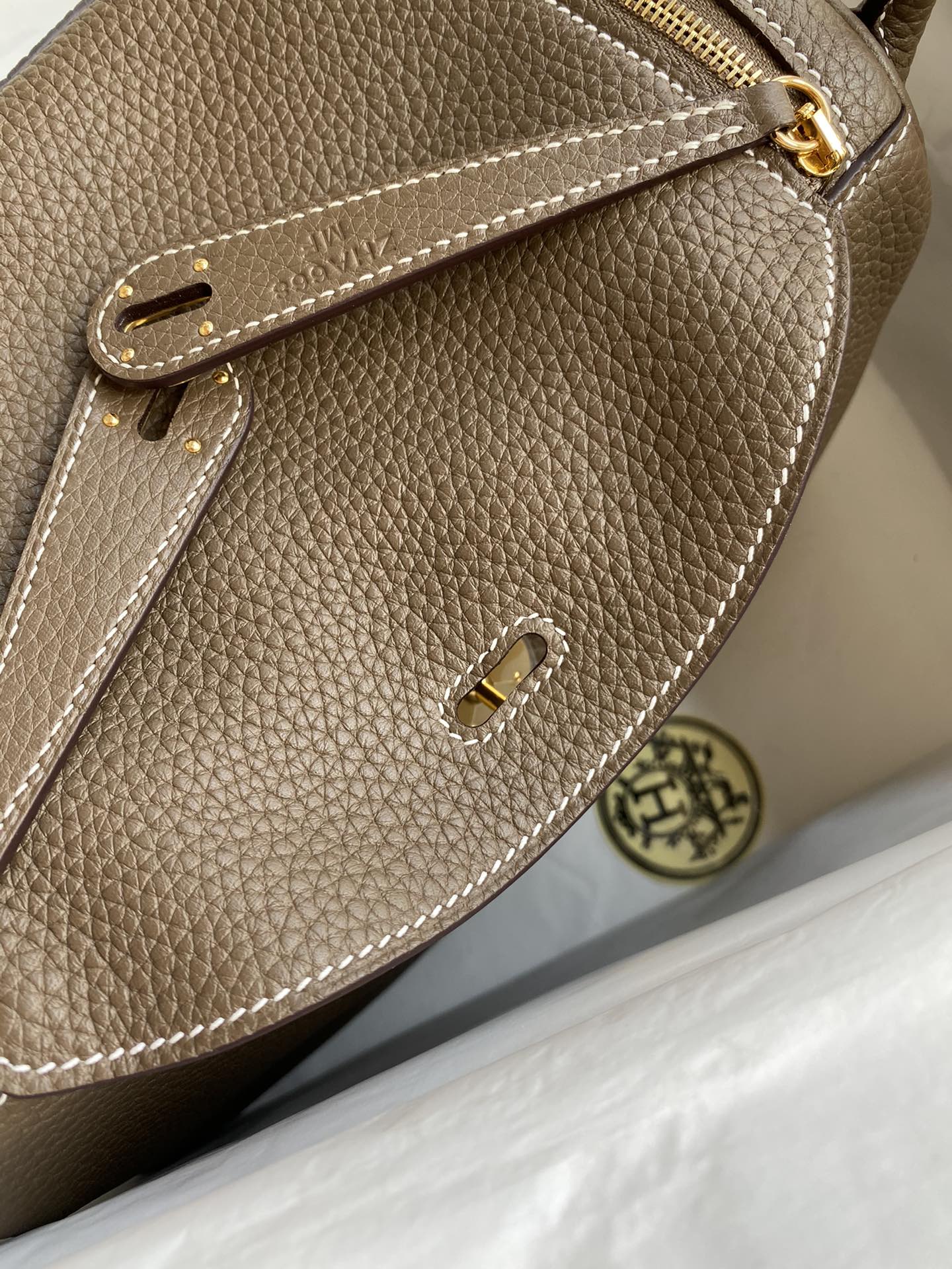 Lindy-taurillon clemence