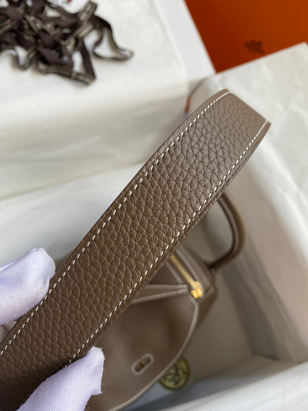 Lindy-taurillon clemence