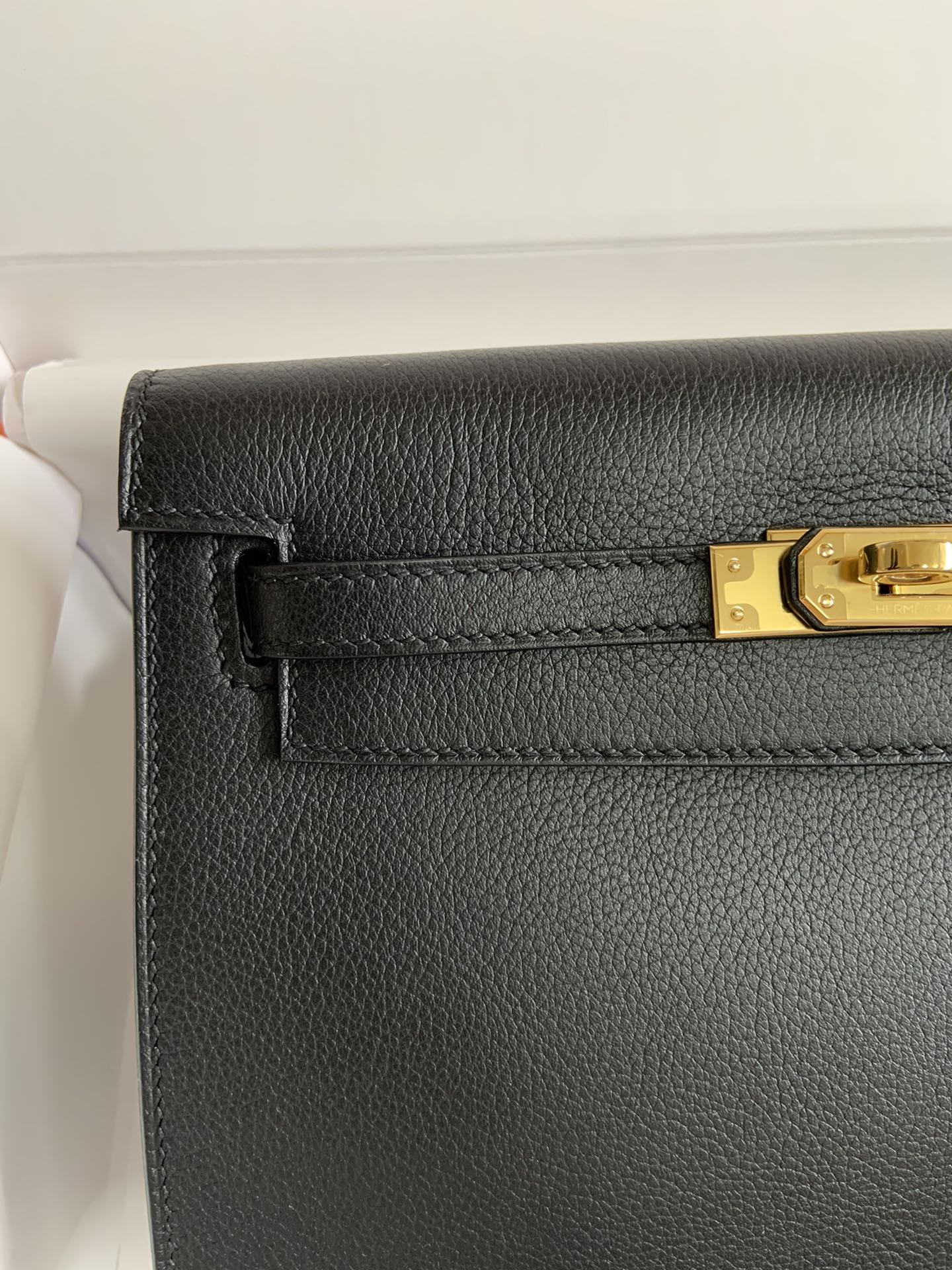 Kelly danse-evercolor