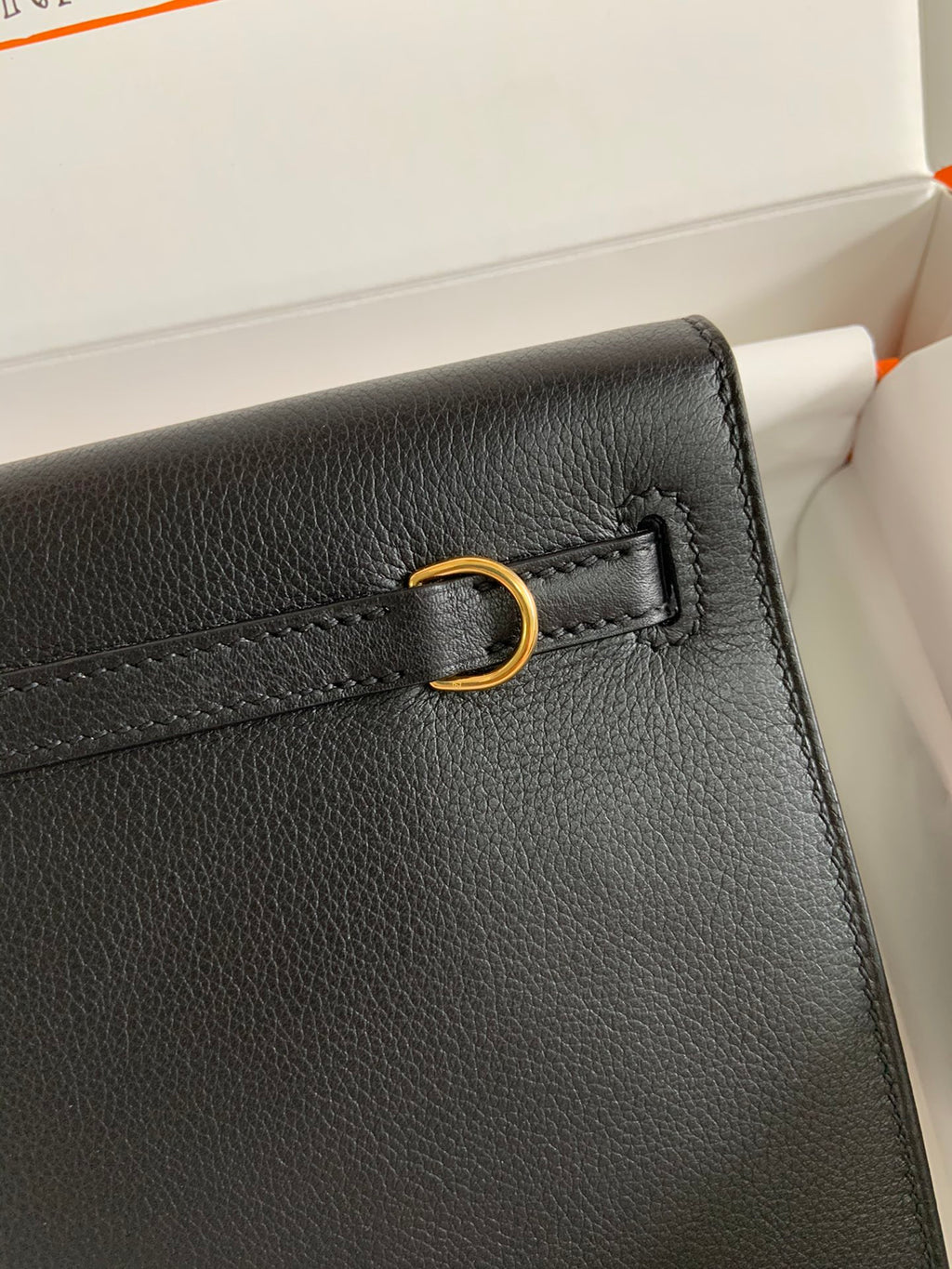 Kelly danse-evercolor