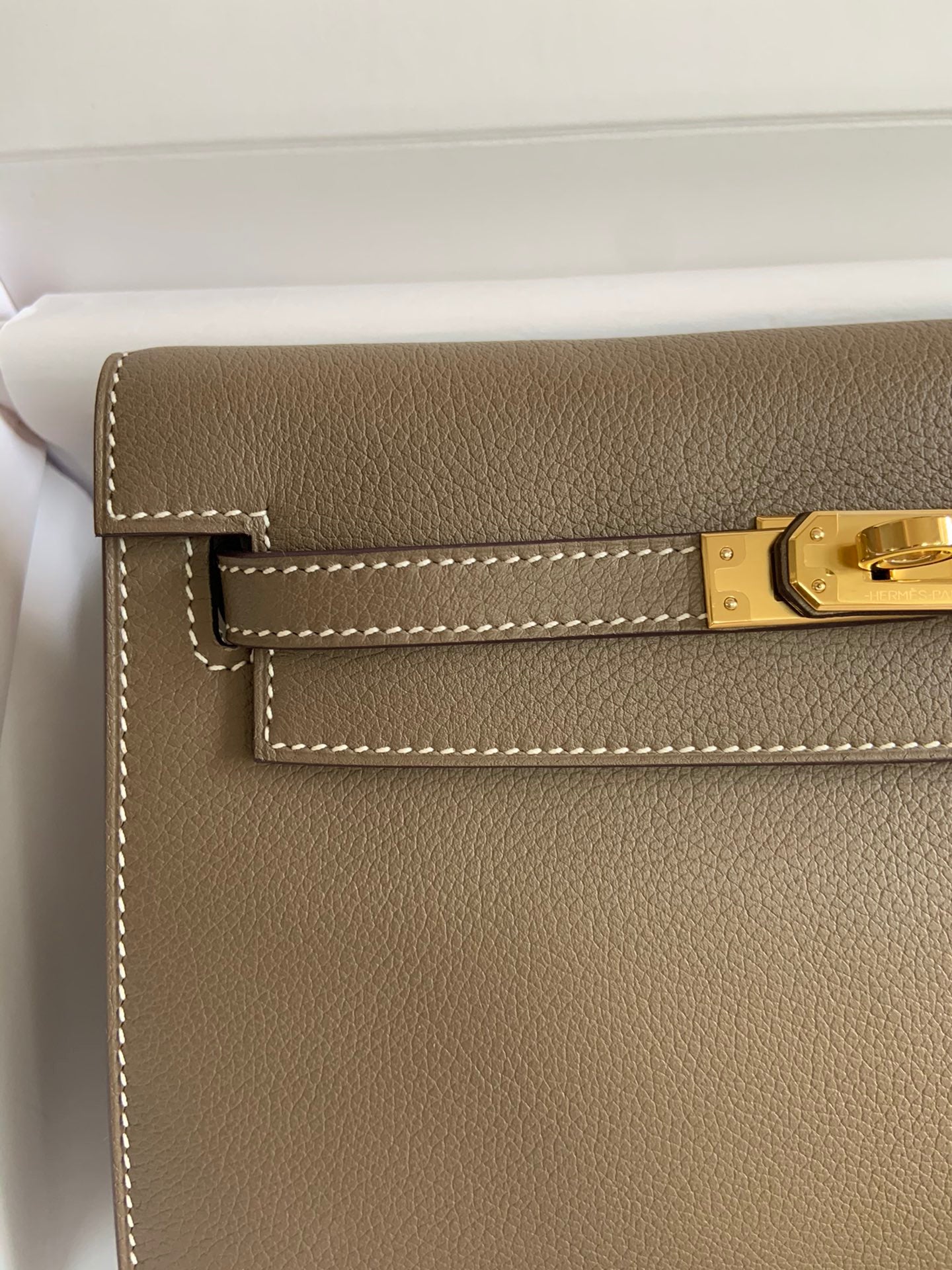 Kelly danse-evercolor