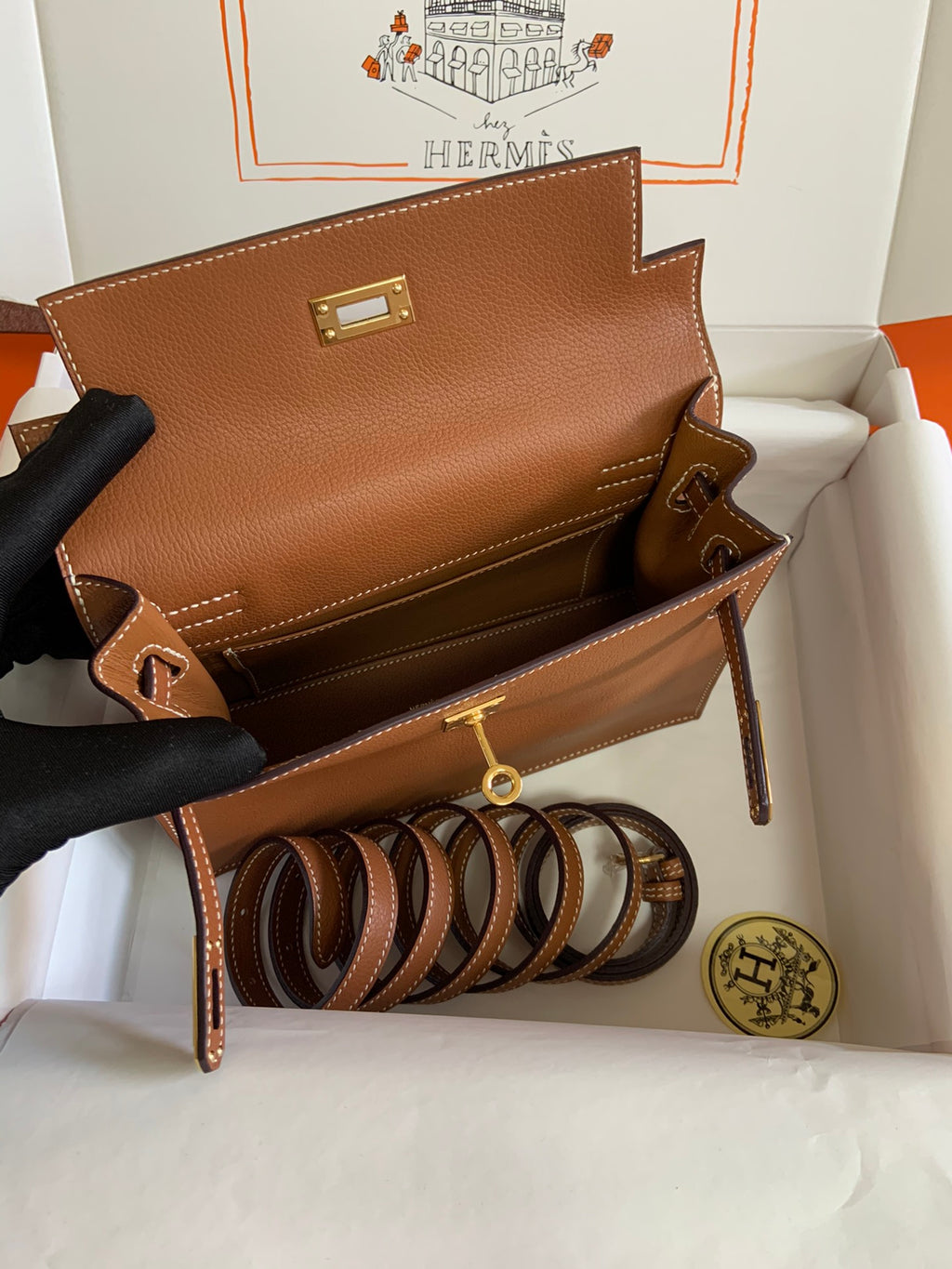 Kelly danse-evercolor