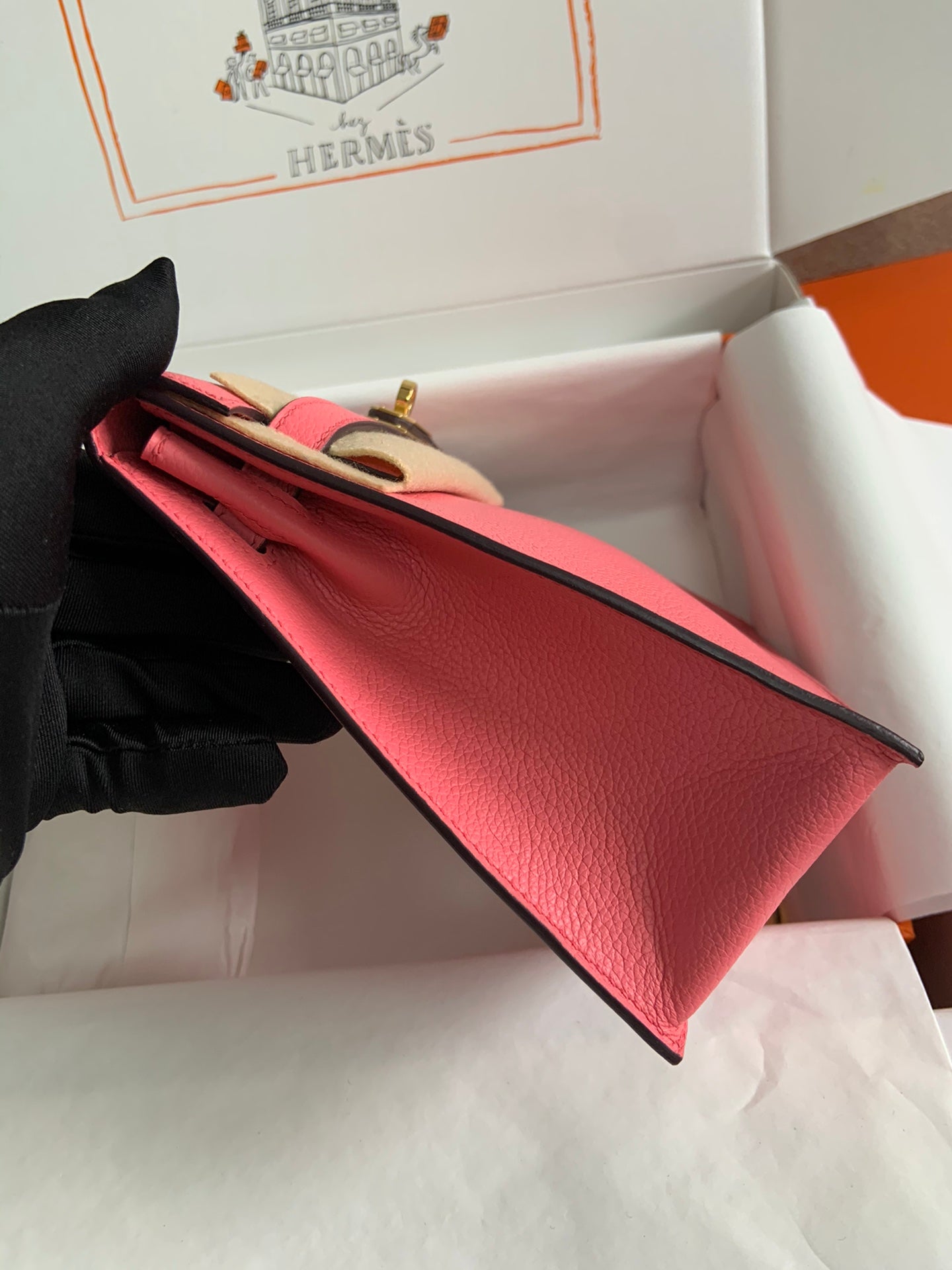 Kelly danse-evercolor