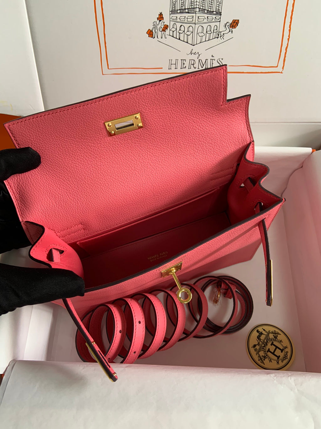 Kelly danse-evercolor