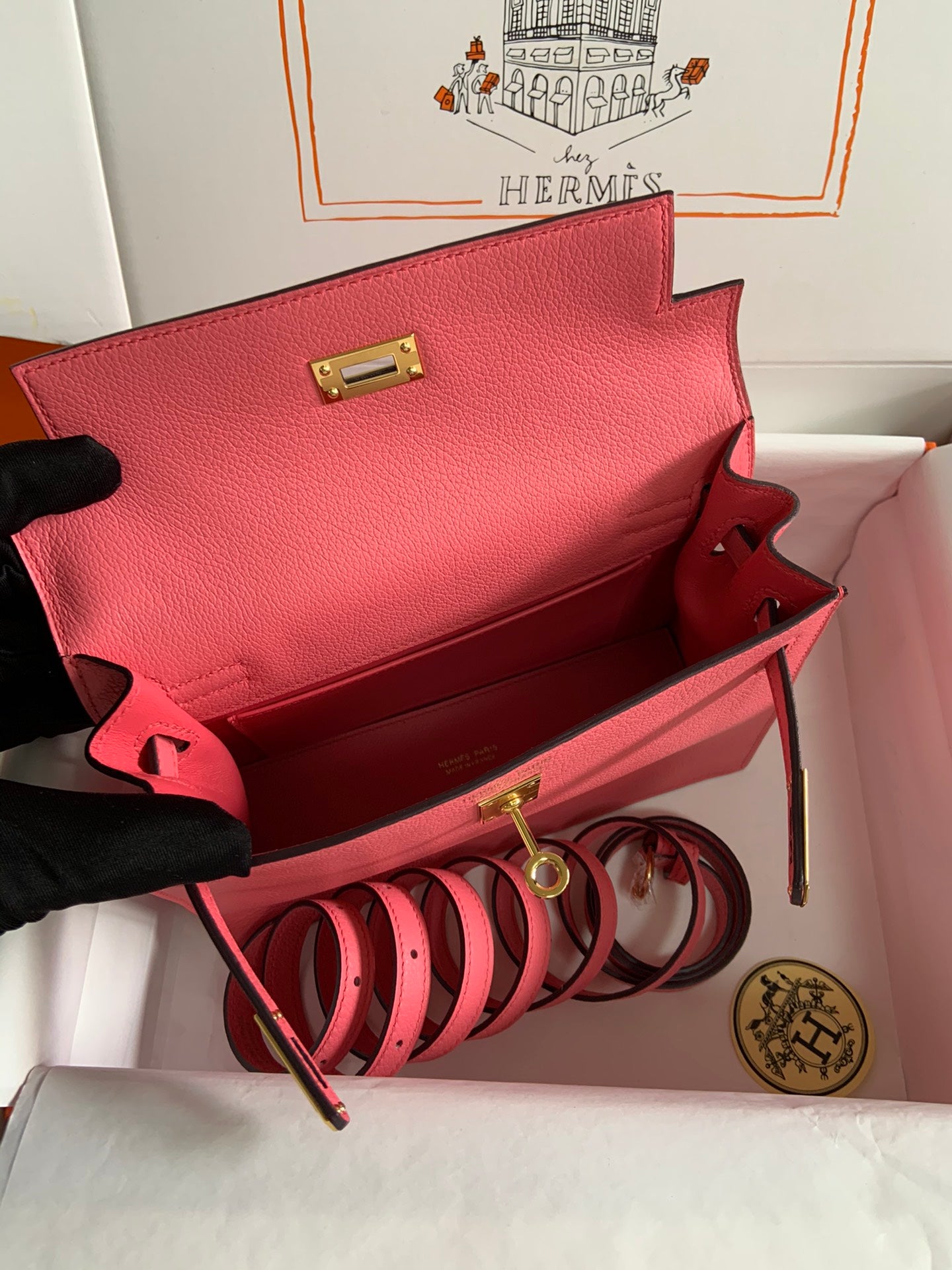 Kelly danse-evercolor