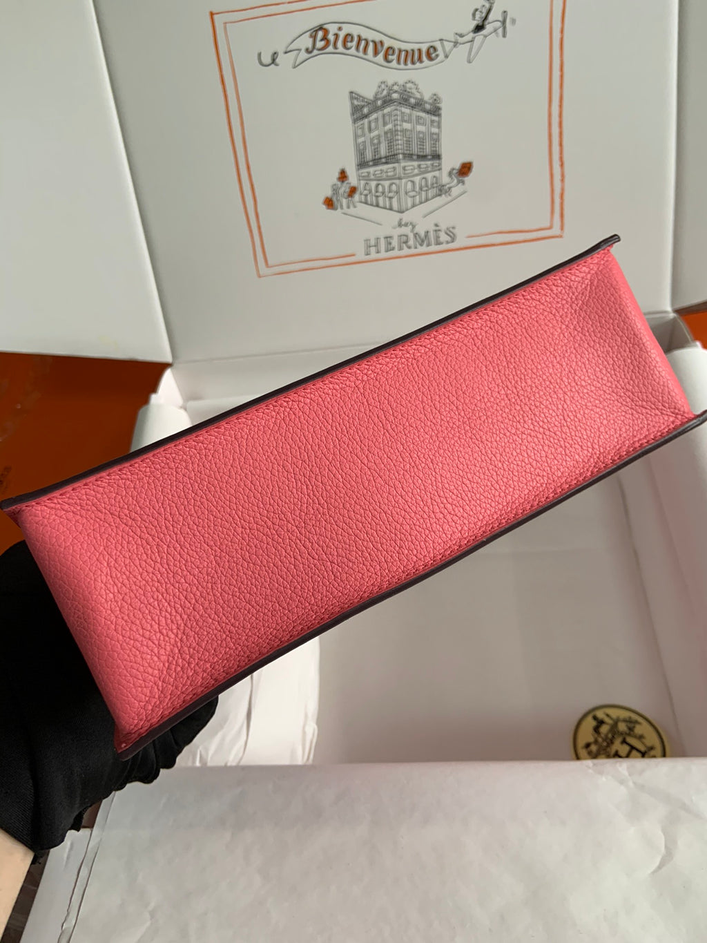 Kelly danse-evercolor