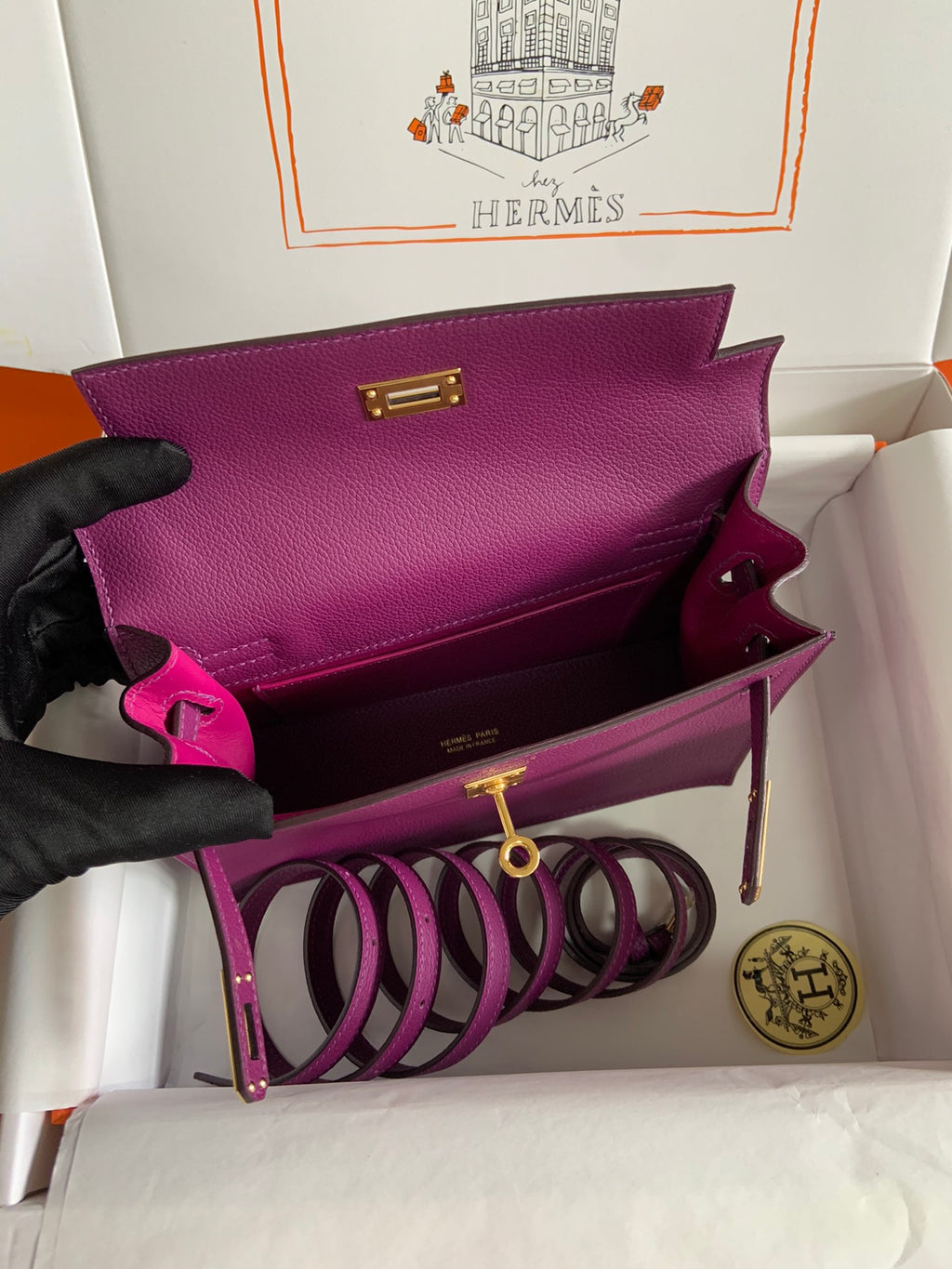 Kelly danse-evercolor