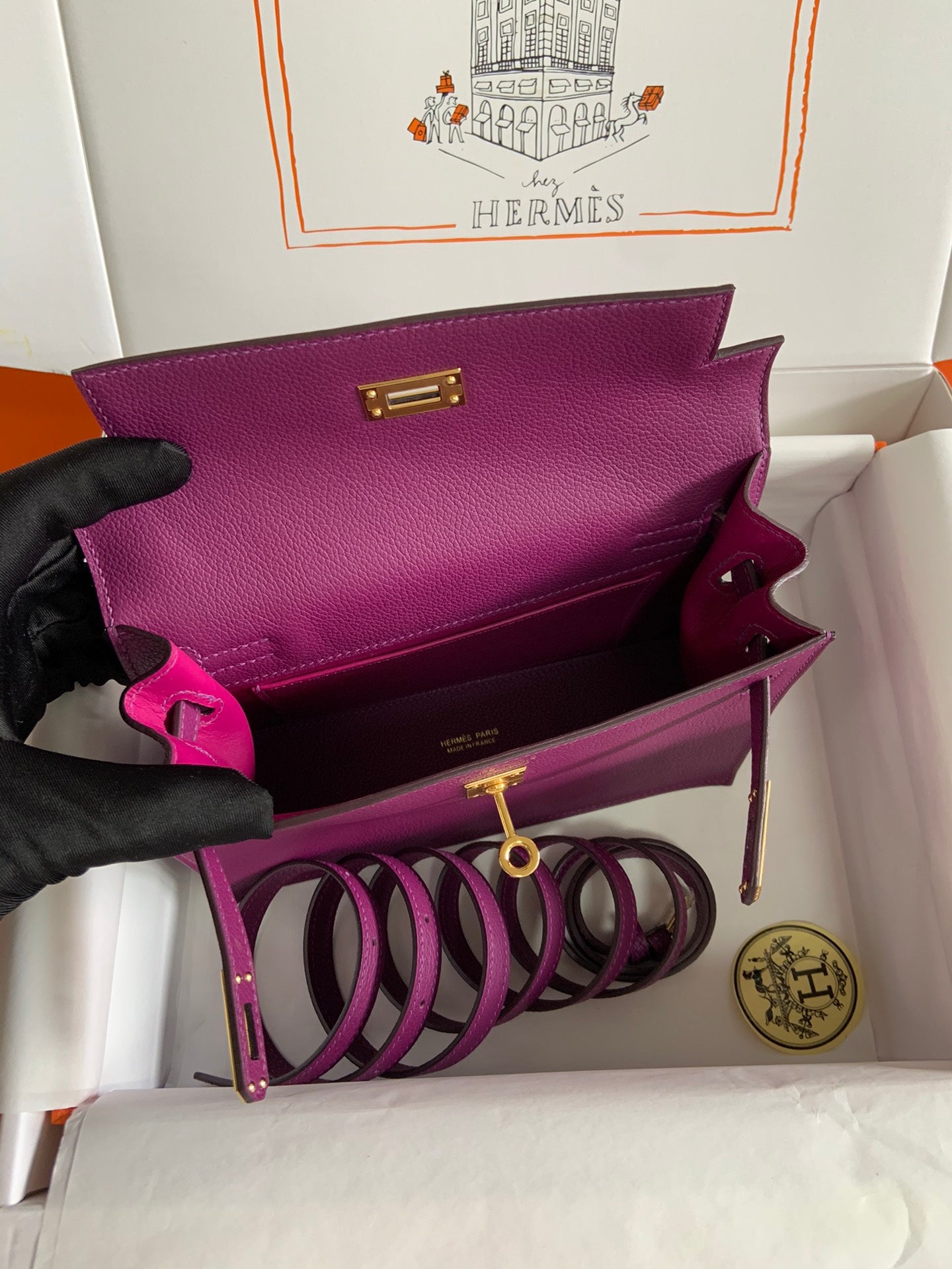 Kelly danse-evercolor