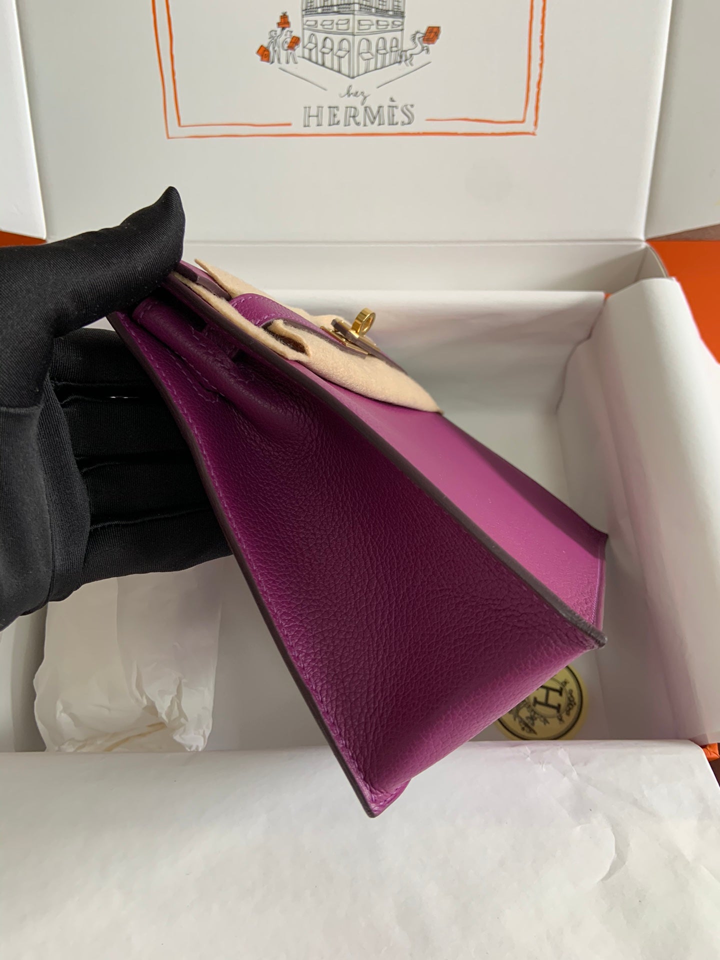 Kelly danse-evercolor