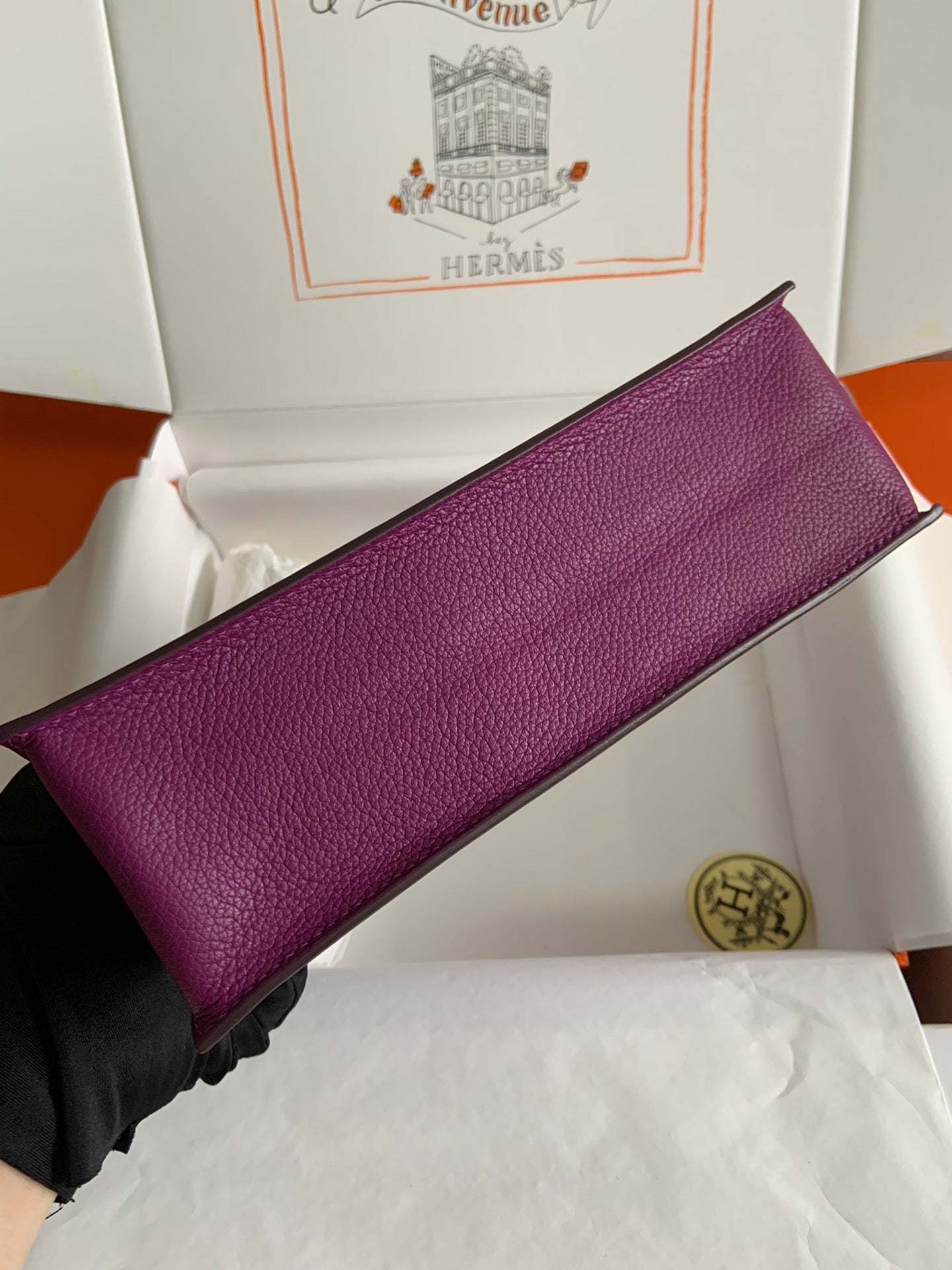 Kelly danse-evercolor