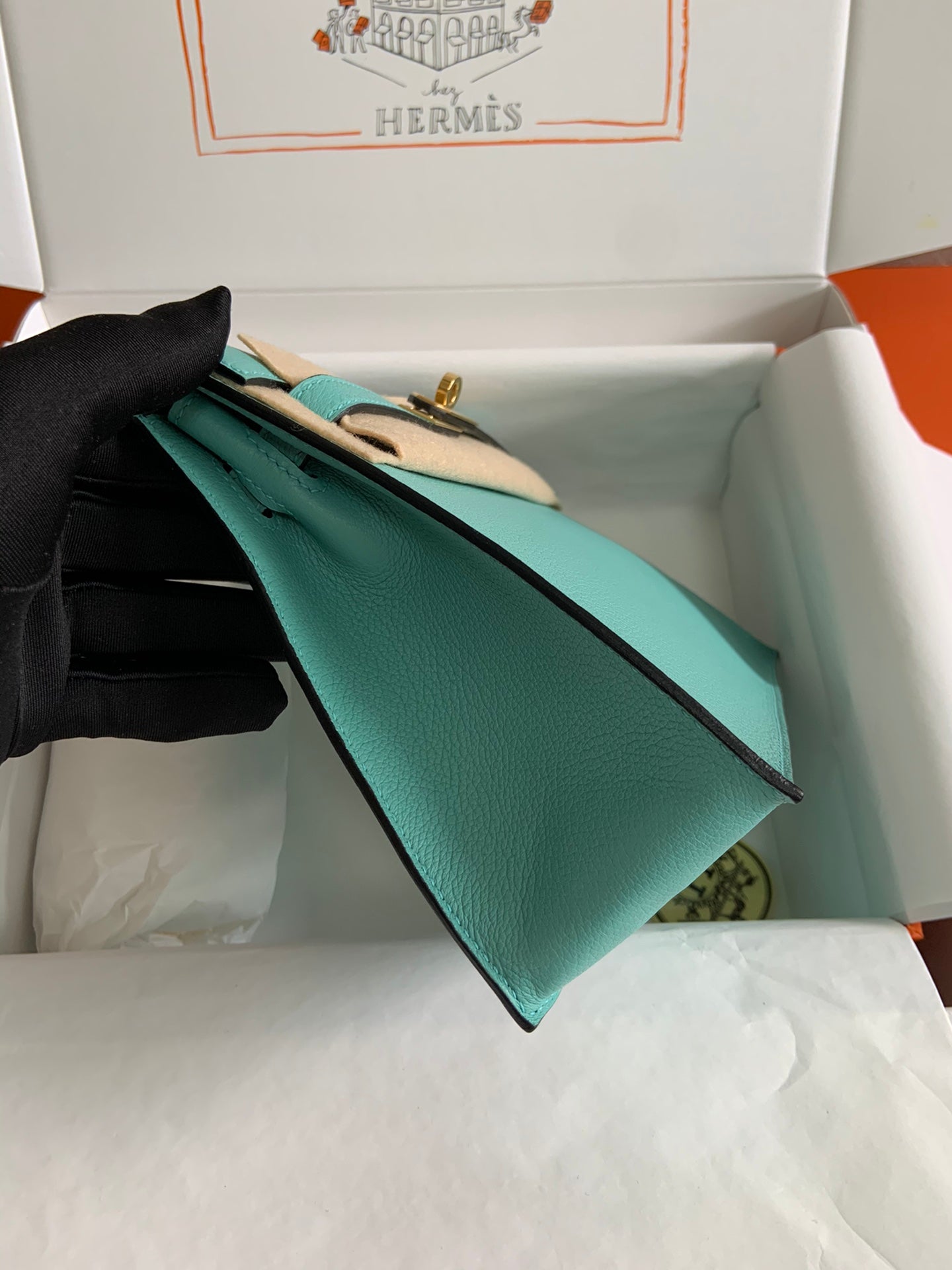 Kelly danse-evercolor