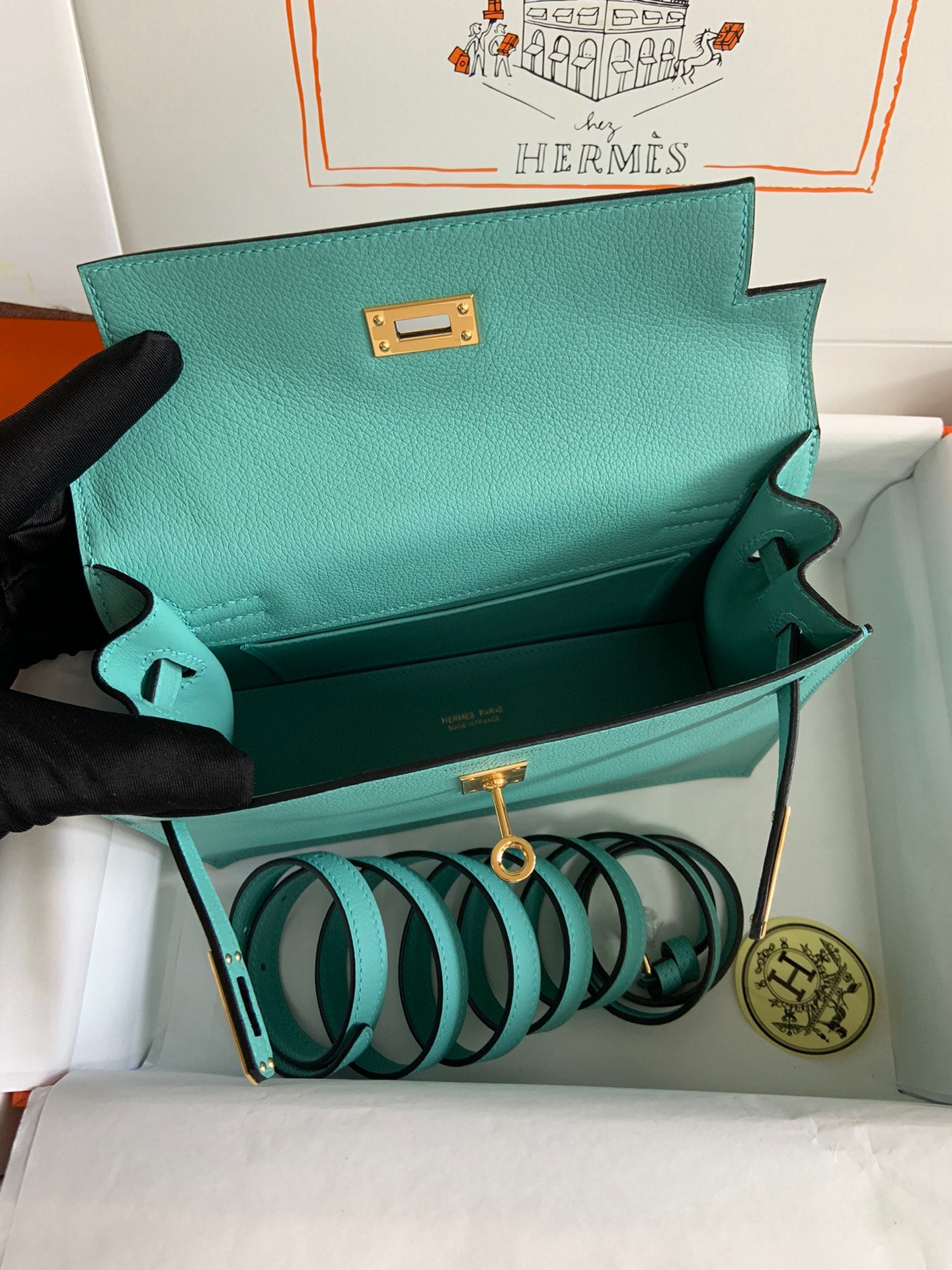 Kelly danse-evercolor