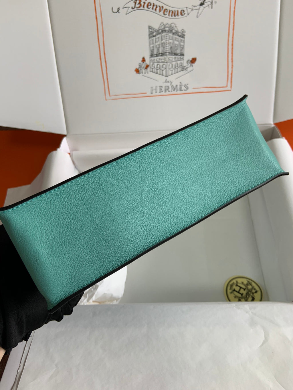 Kelly danse-evercolor