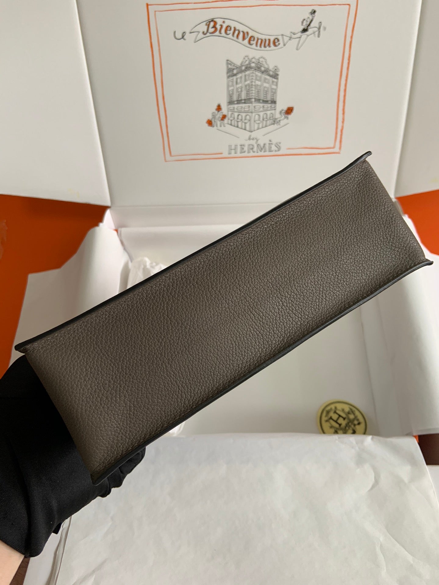 Kelly danse-evercolor