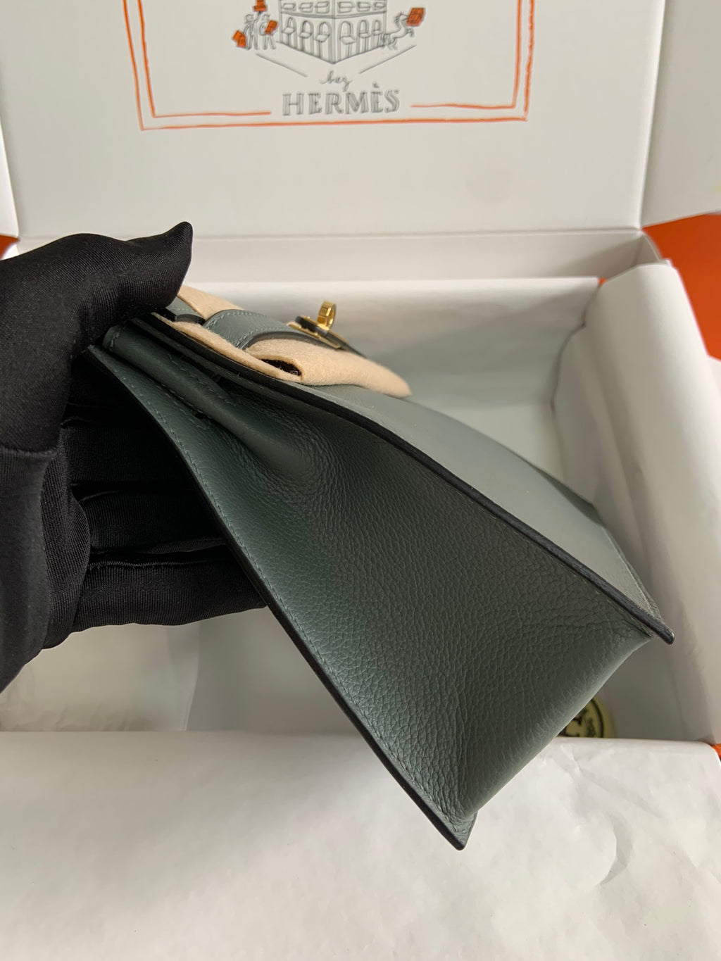 Kelly danse-evercolor