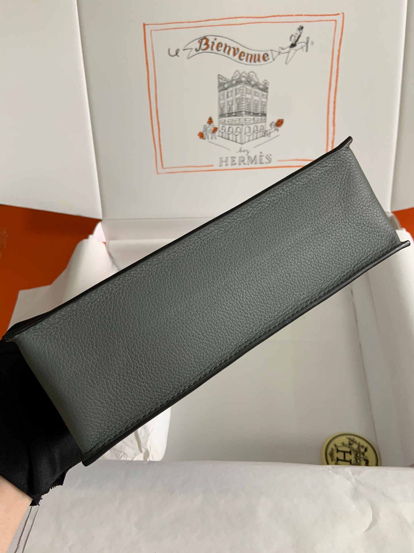 Kelly danse-evercolor