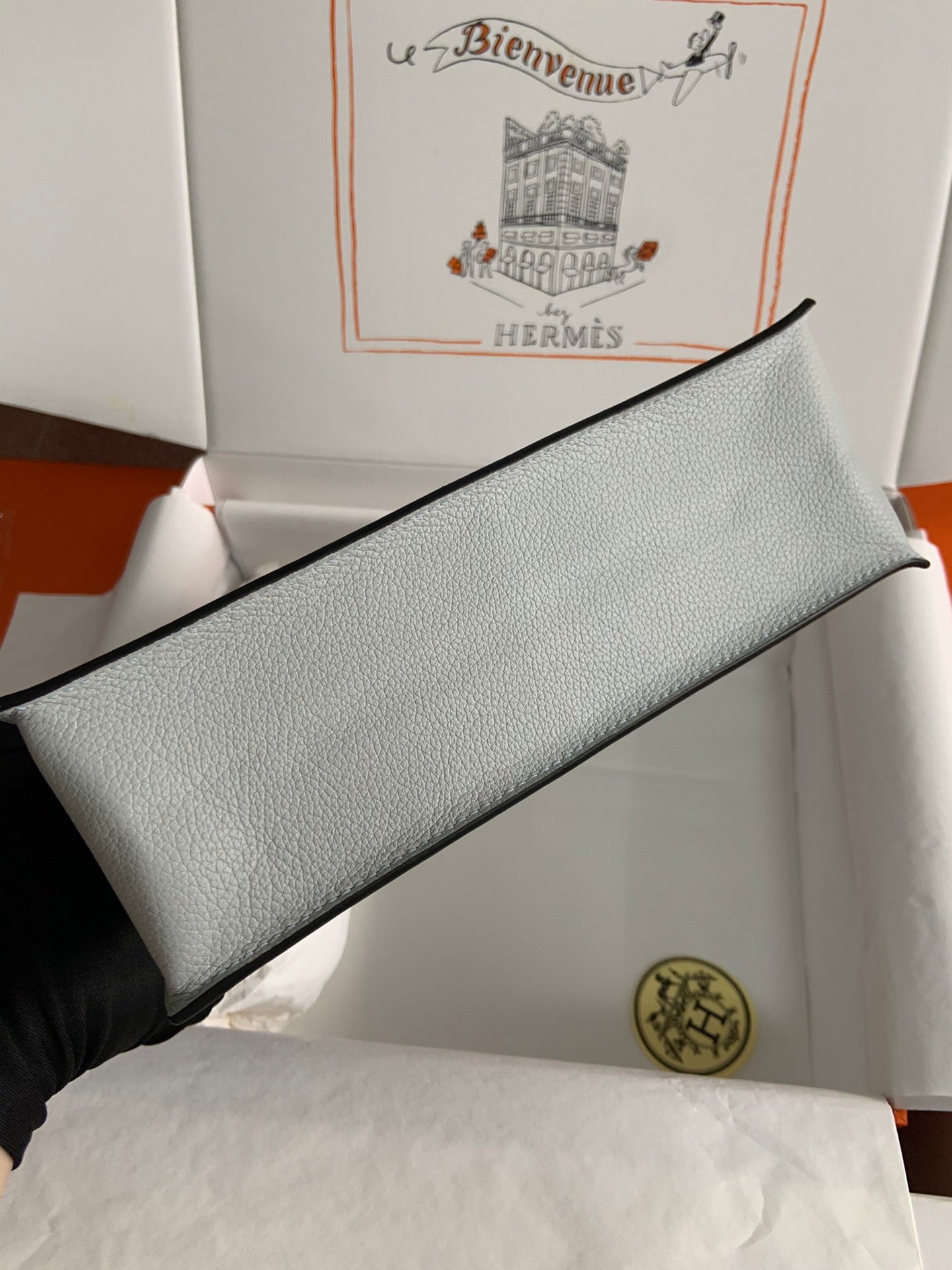 Kelly danse-evercolor