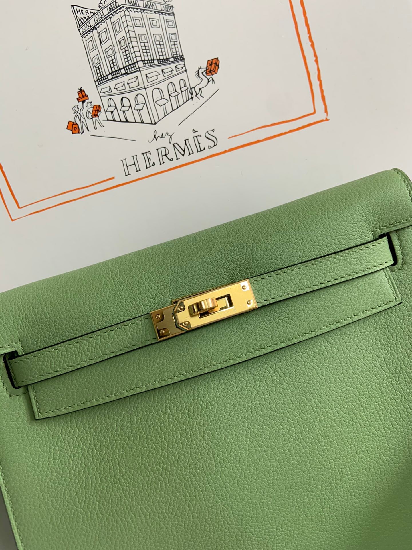 Kelly danse-evercolor