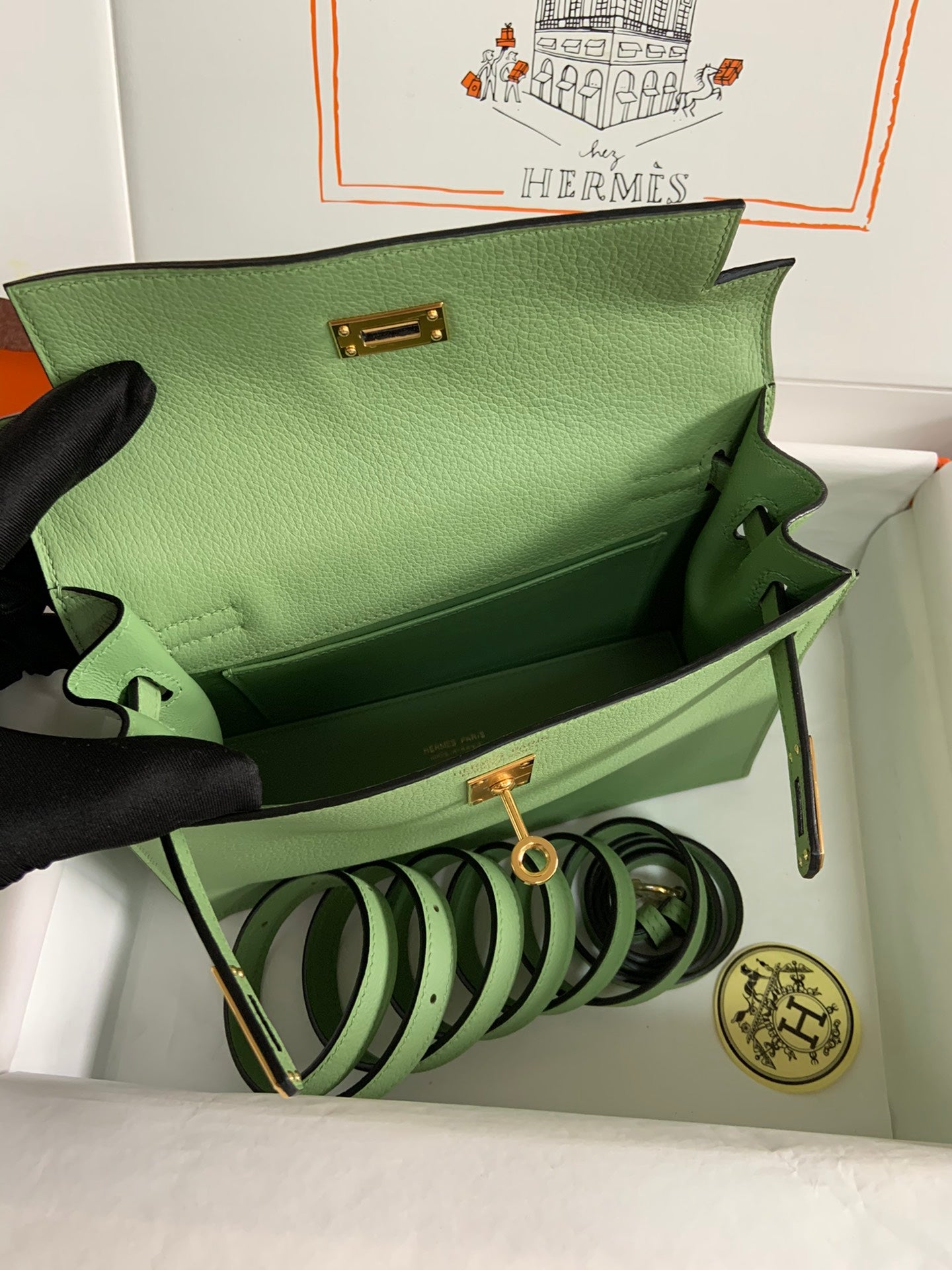 Kelly danse-evercolor