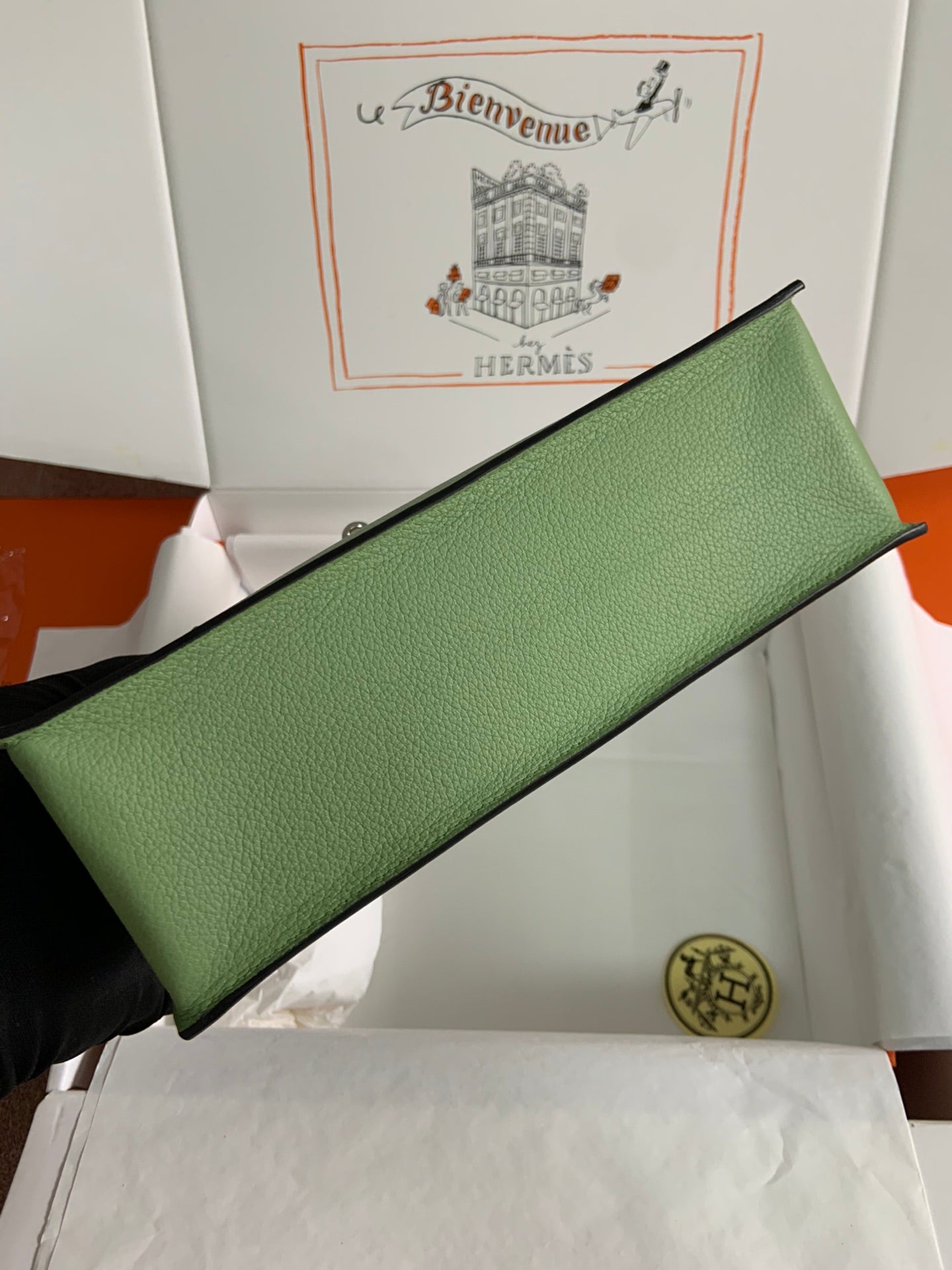 Kelly danse-evercolor