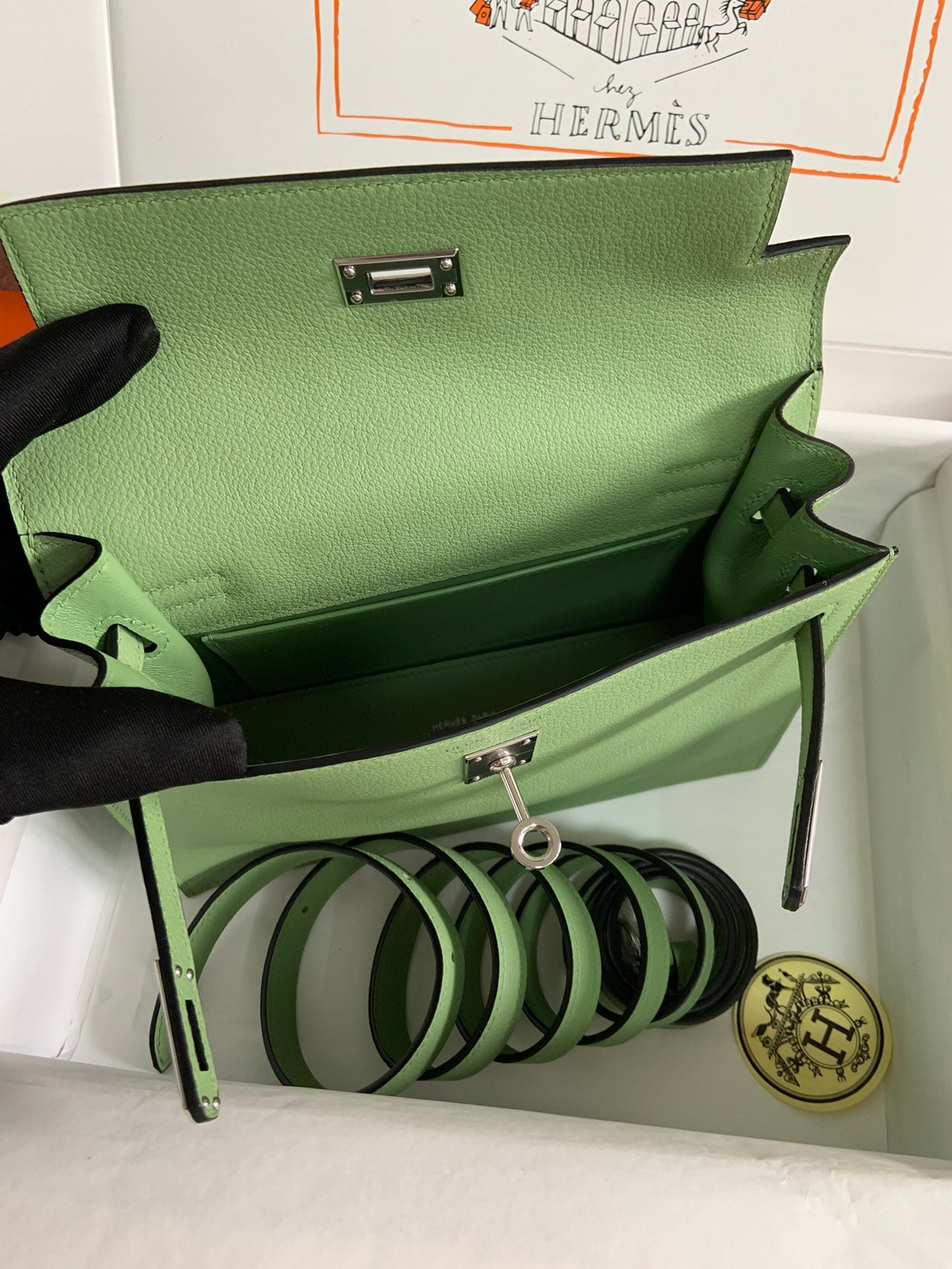 Kelly danse-evercolor