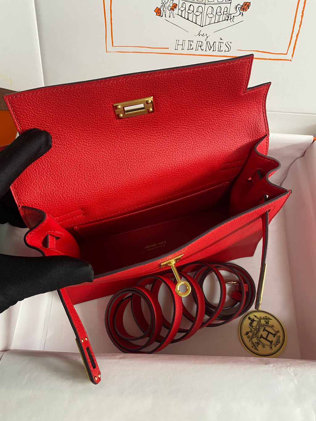 Kelly danse-evercolor