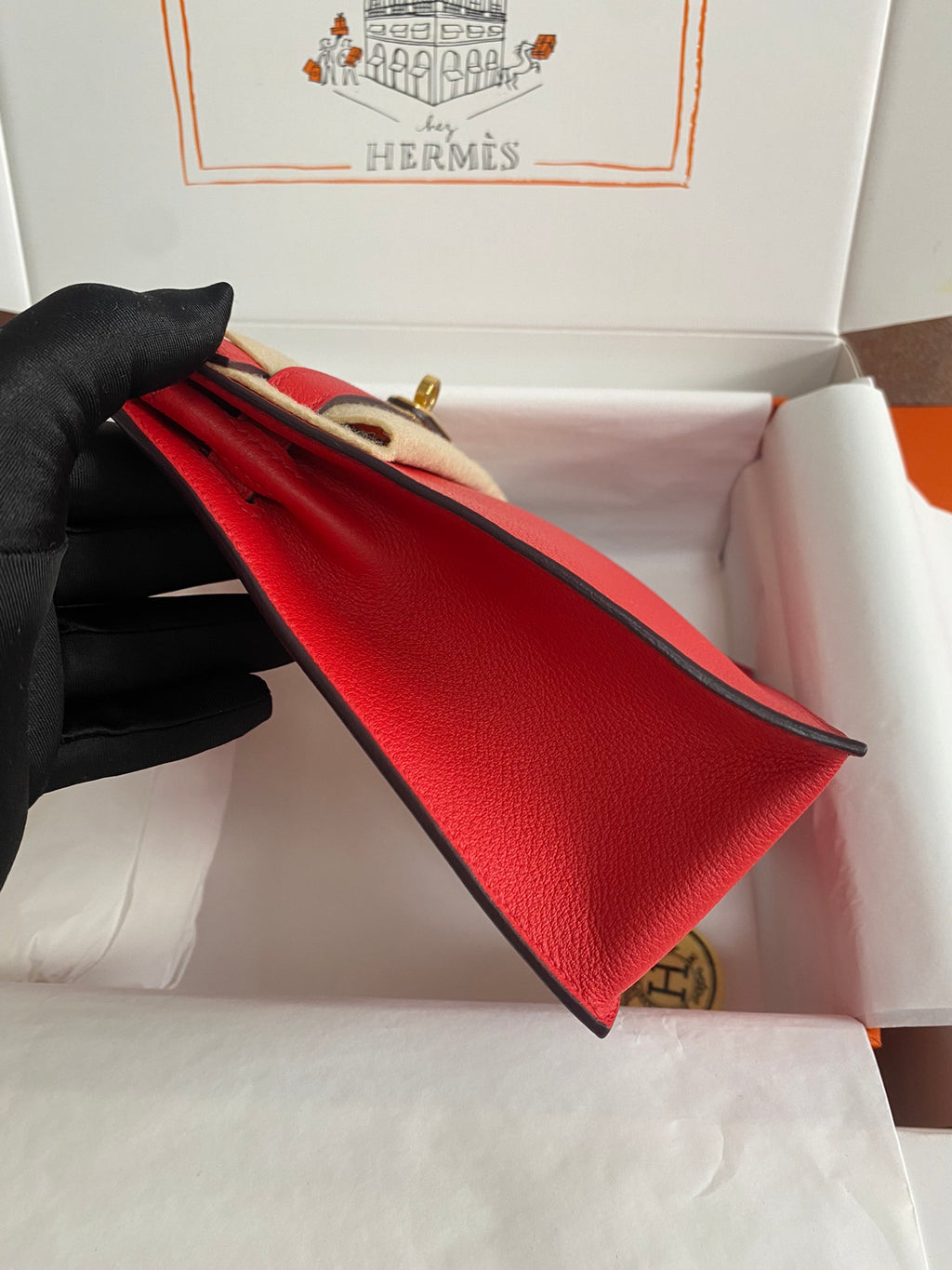 Kelly danse-evercolor