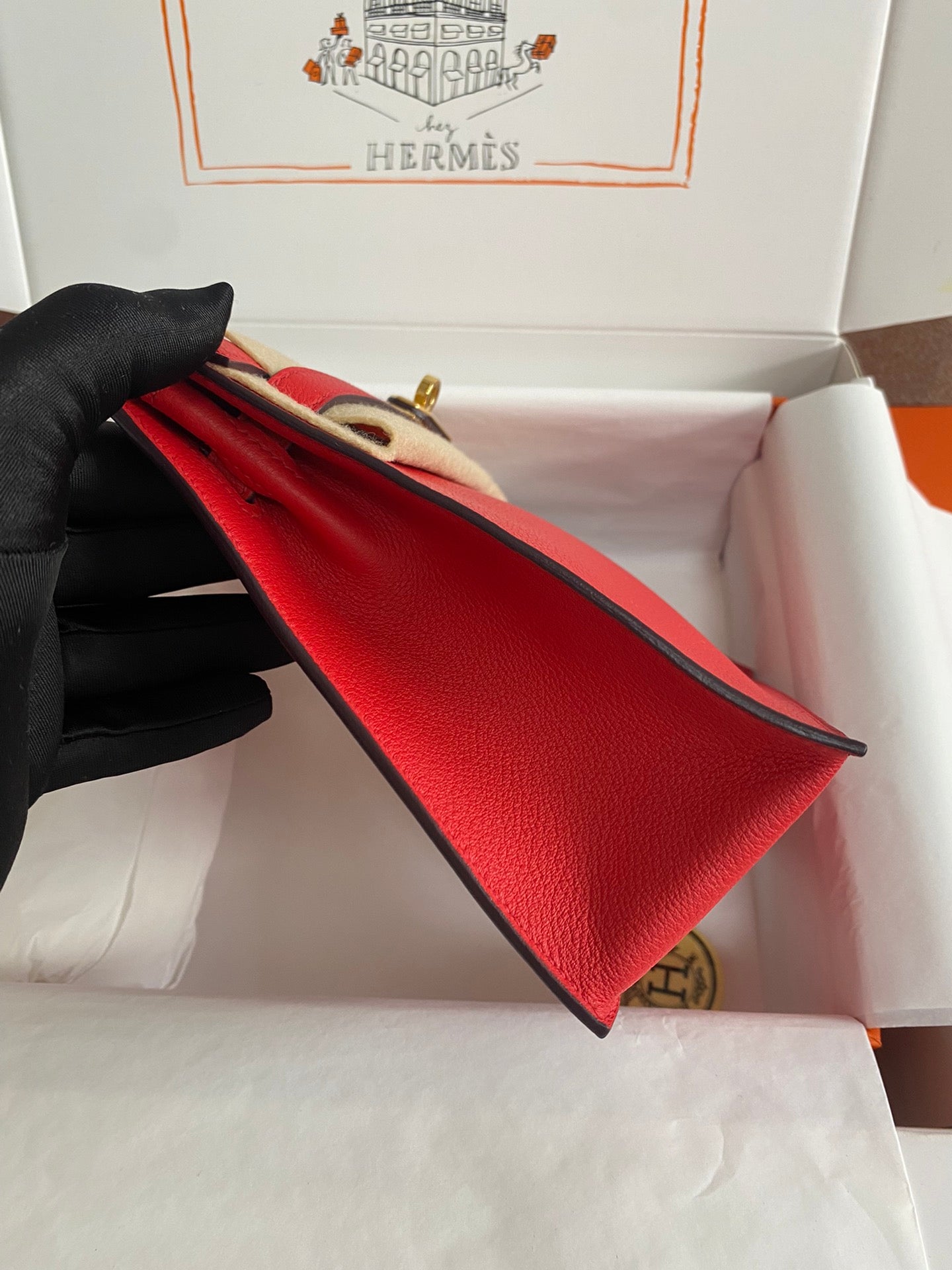 Kelly danse-evercolor