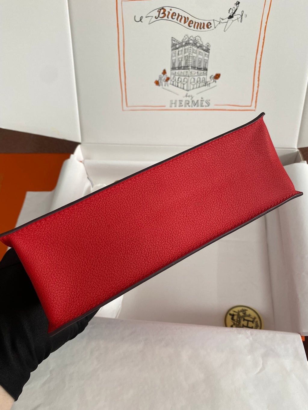 Kelly danse-evercolor