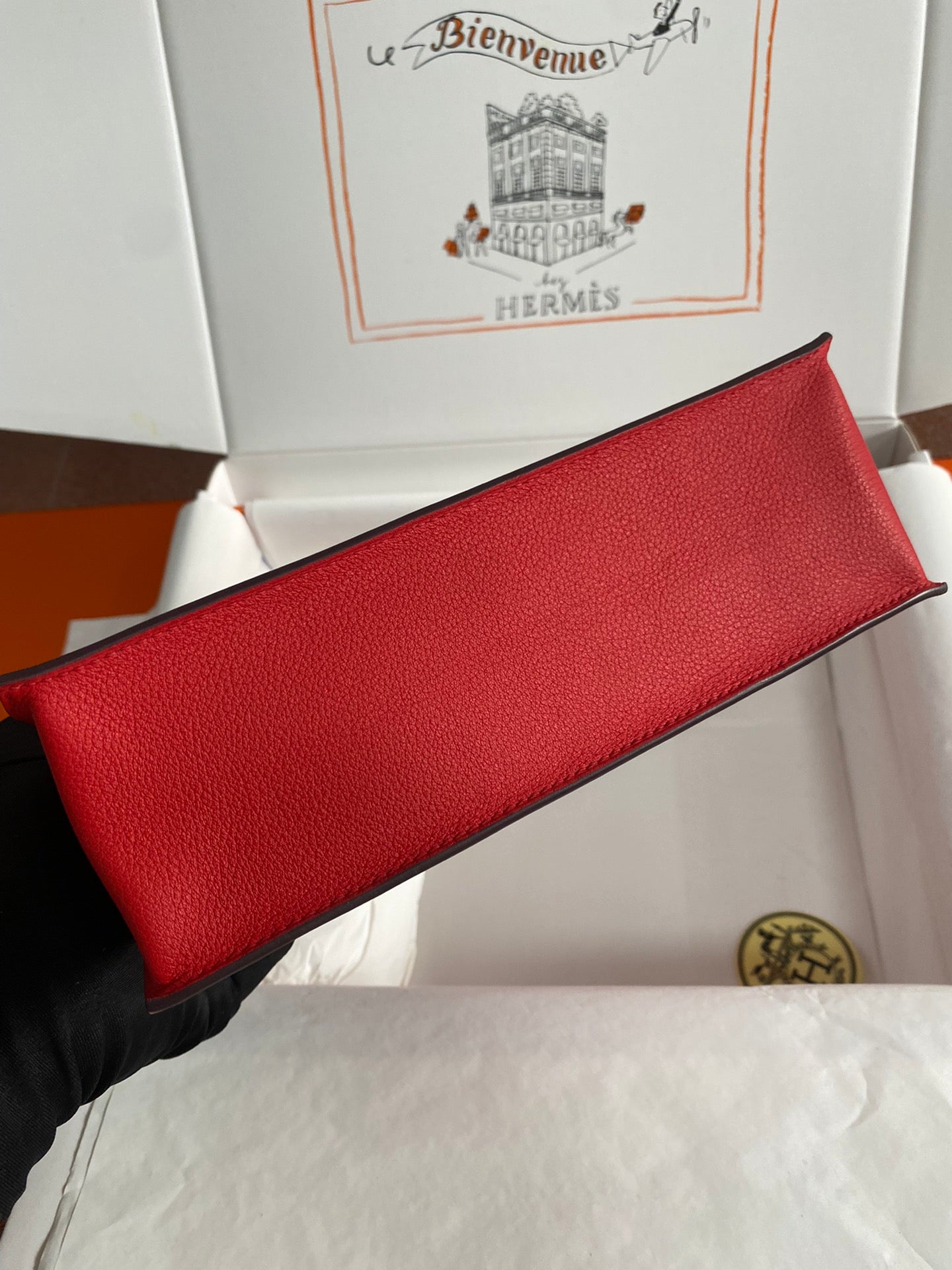 Kelly danse-evercolor