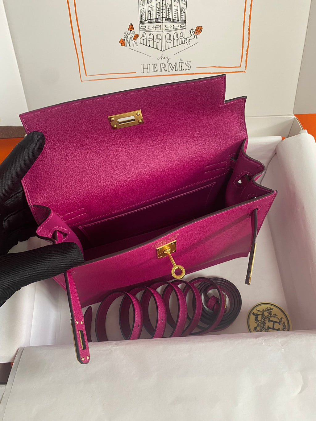 Kelly danse-evercolor