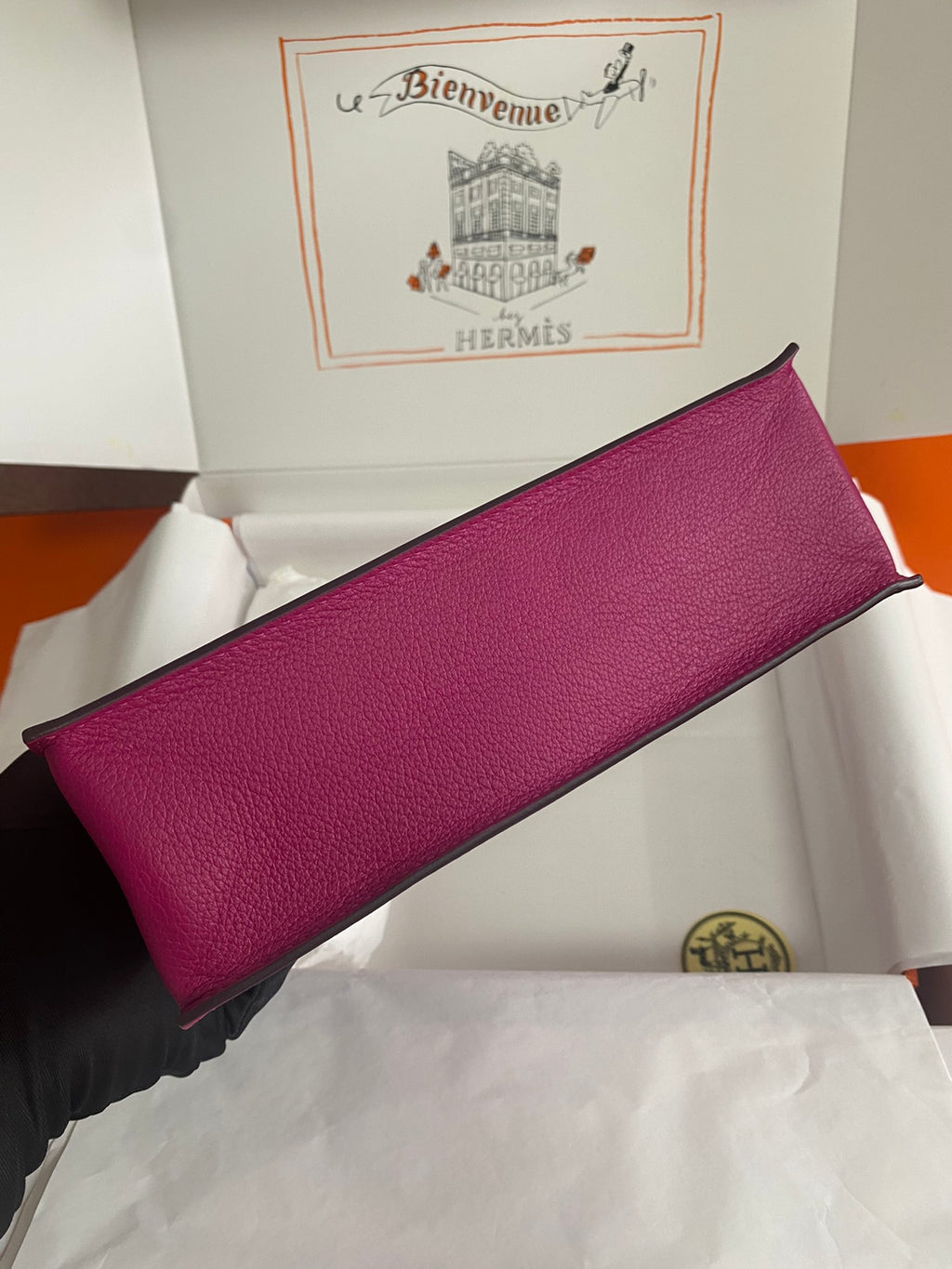 Kelly danse-evercolor