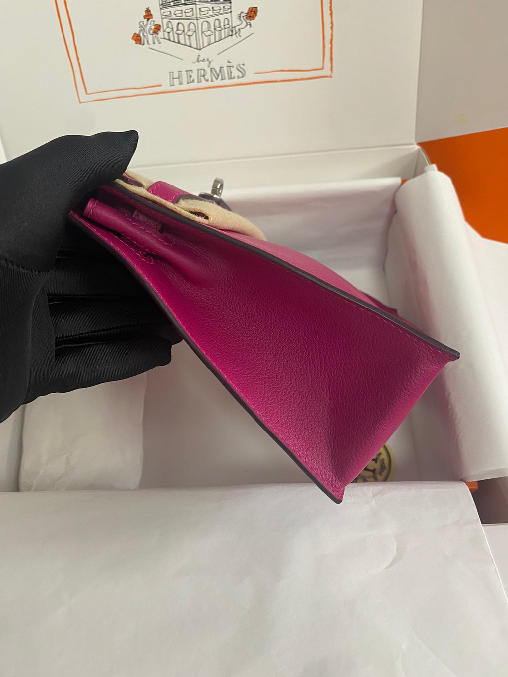 Kelly danse-evercolor