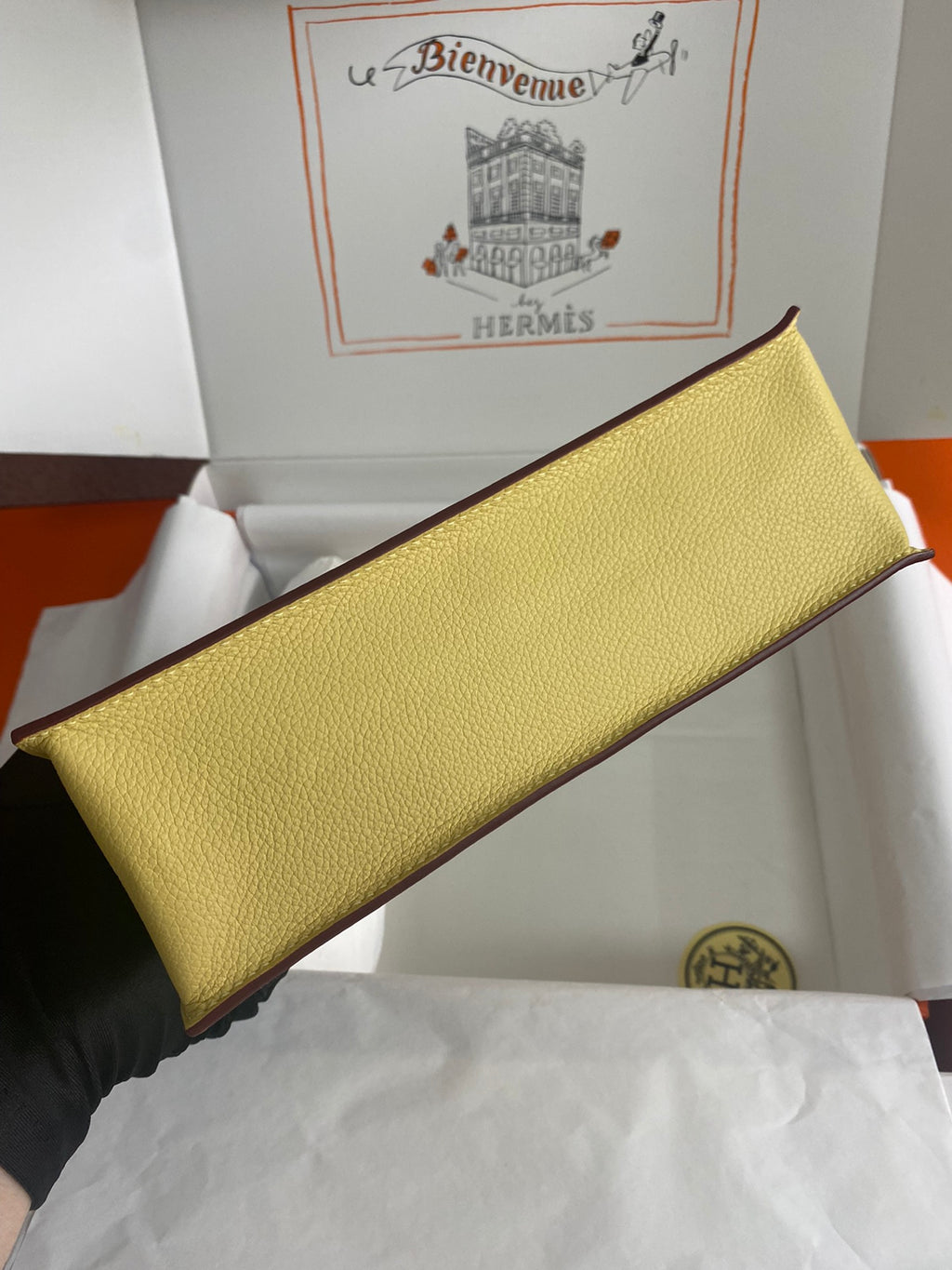 Kelly danse-evercolor