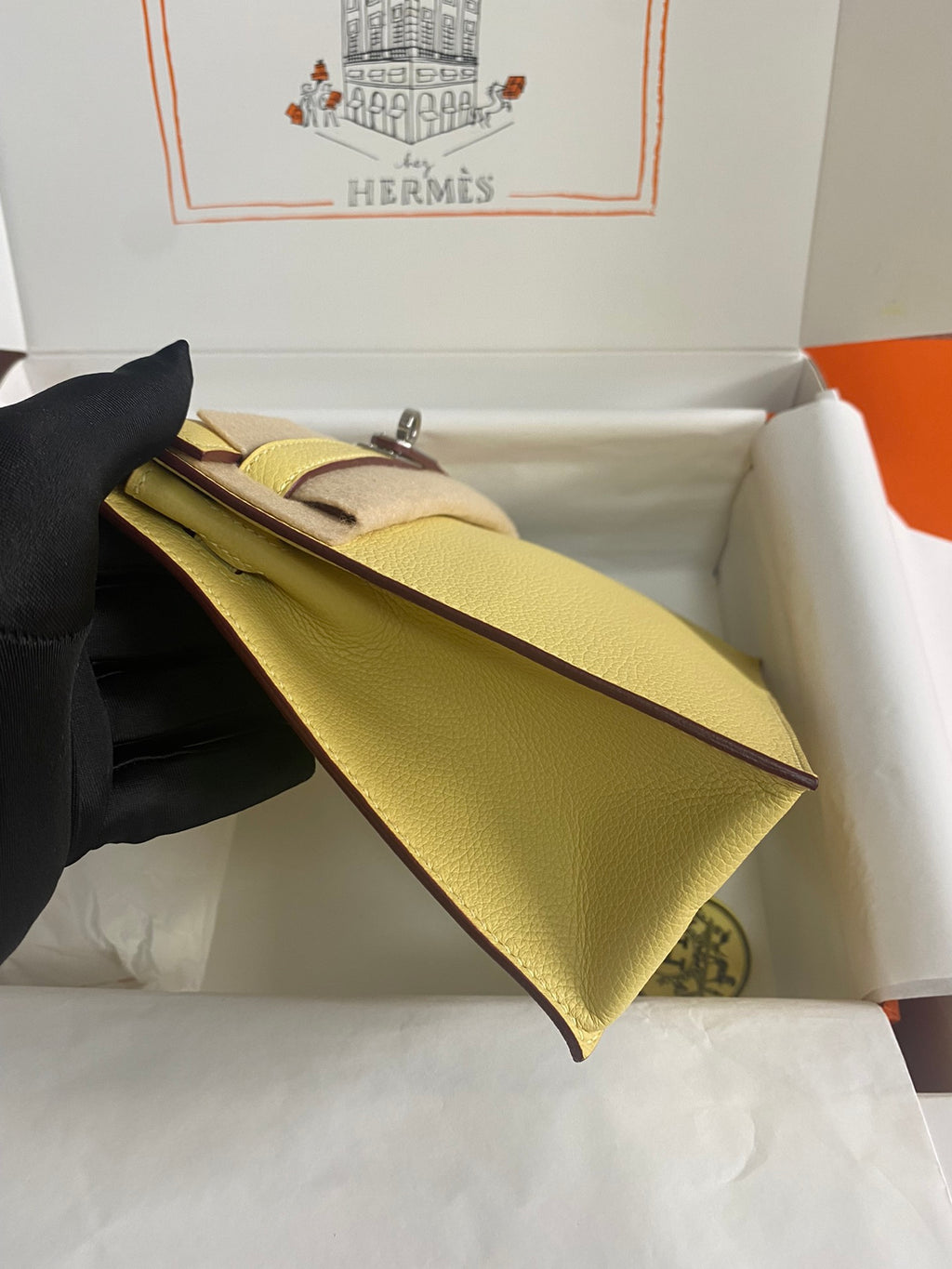 Kelly danse-evercolor