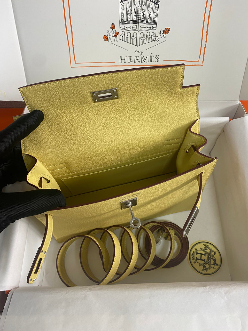 Kelly danse-evercolor